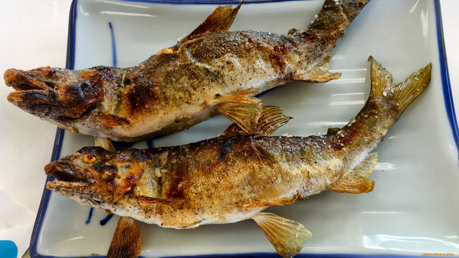 еда, рыба, , морепродукты, , суши, , роллы, деликатесы