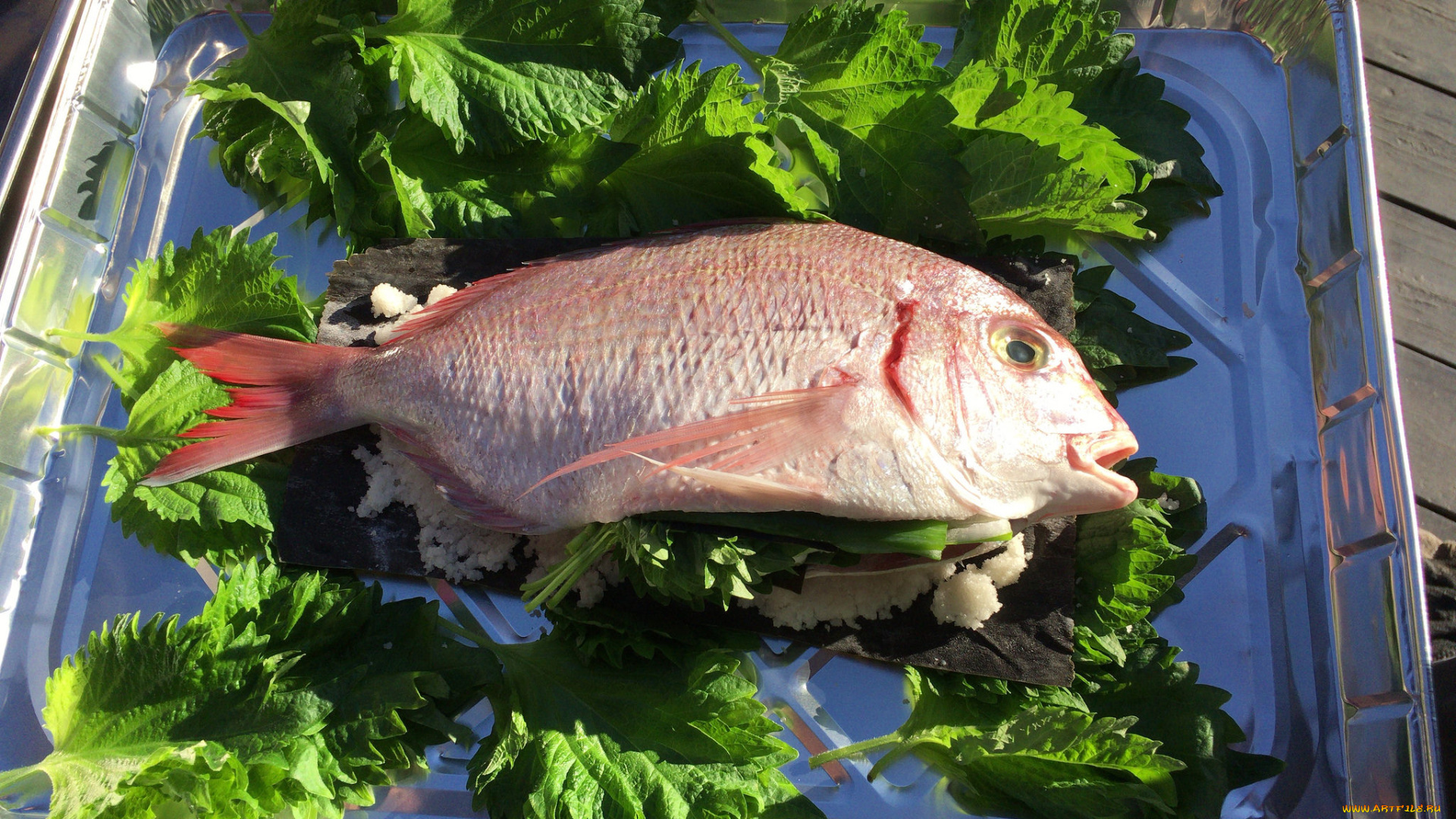 еда, рыба, , морепродукты, , суши, , роллы, деликатесы