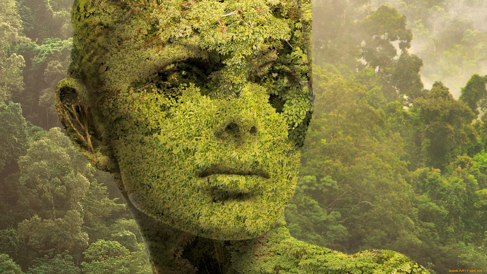 igor, morski, рисованное, абстракция, сюрреализм, художник, igor, morski