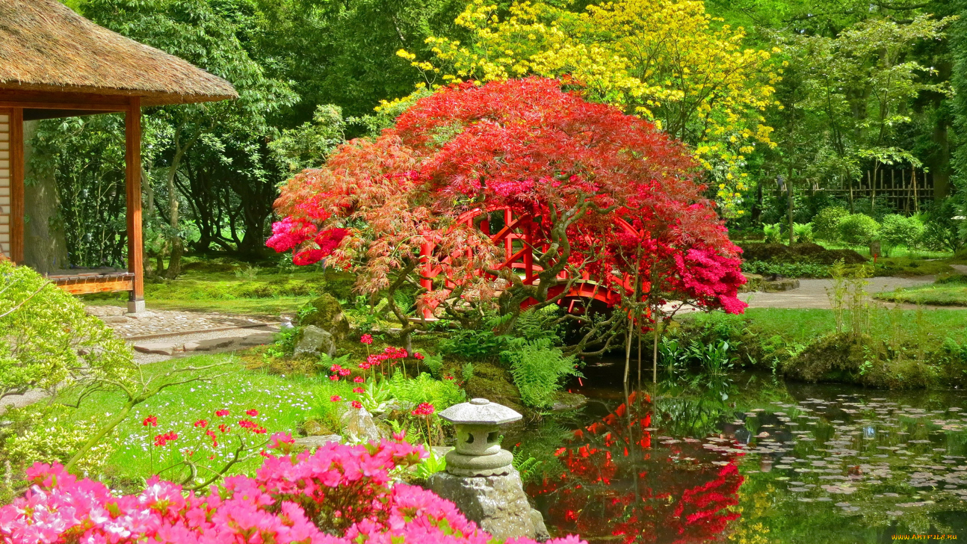 keukenhof, park, природа, парк, keukenhof, park