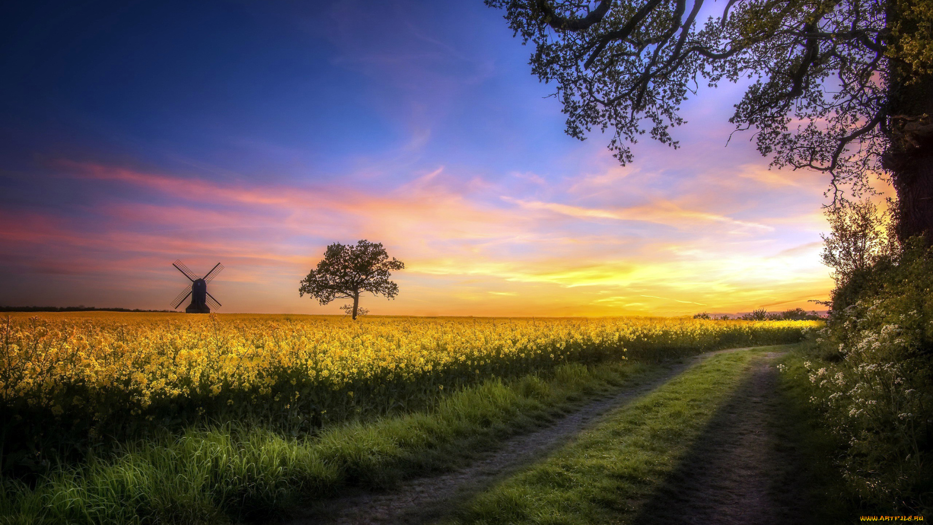 природа, дороги, поле, мельница