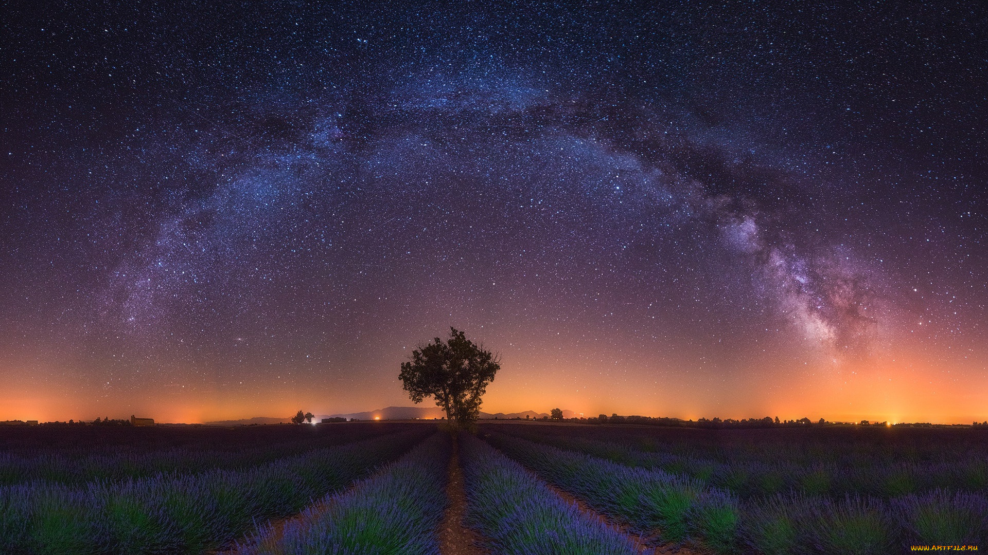 природа, поля, свет, звезды, поле, лаванда, ночь, дерево, млечный, путь, цветы