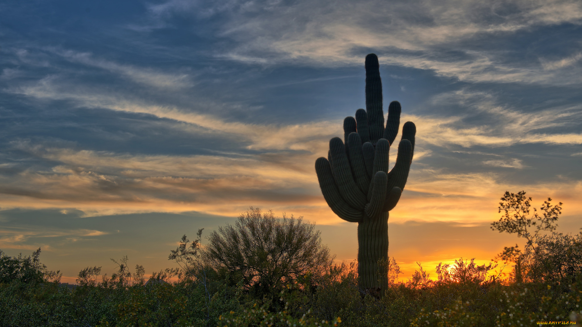 природа, пустыни, рассвет