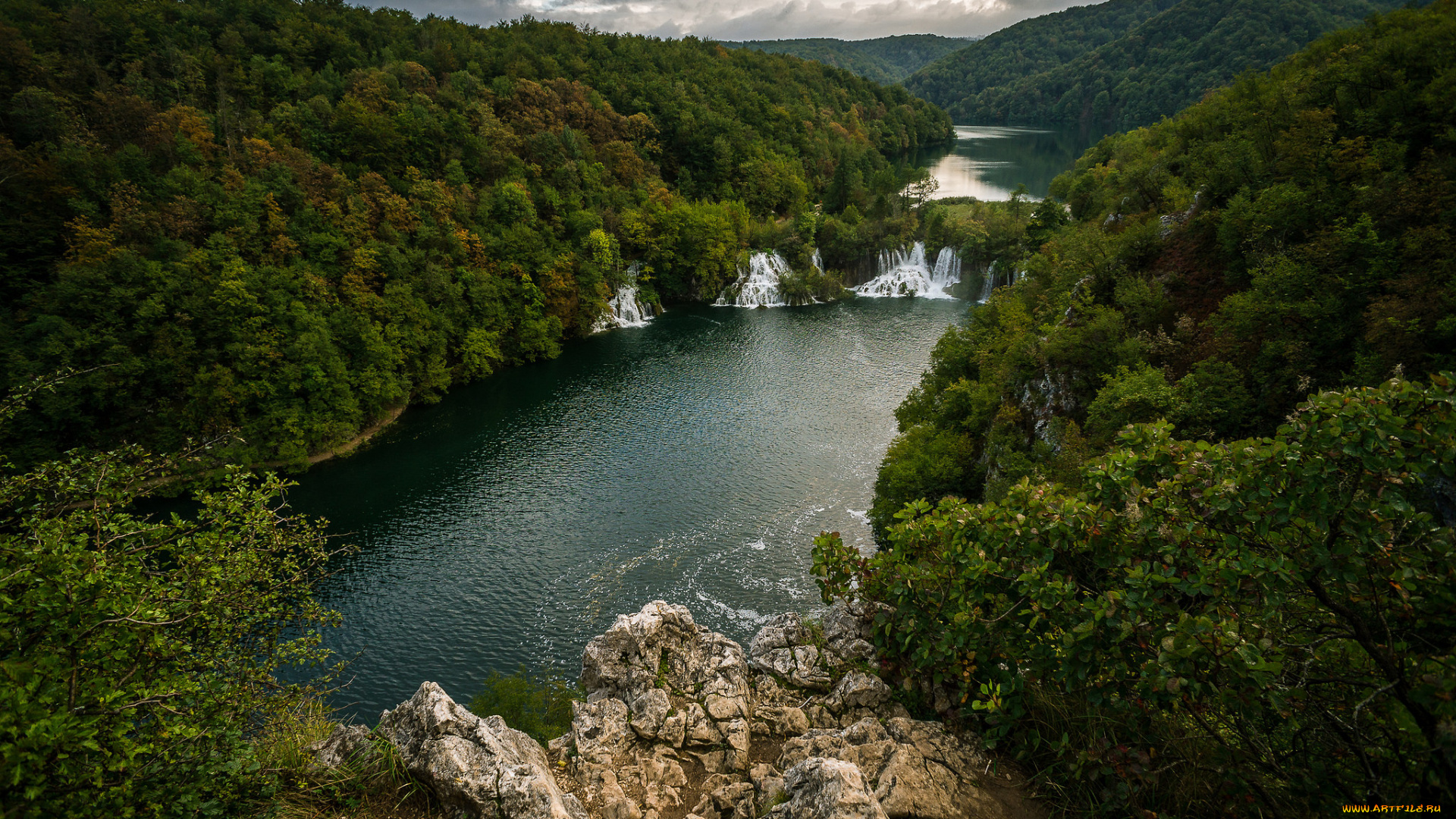 природа, реки, озера, река, лес