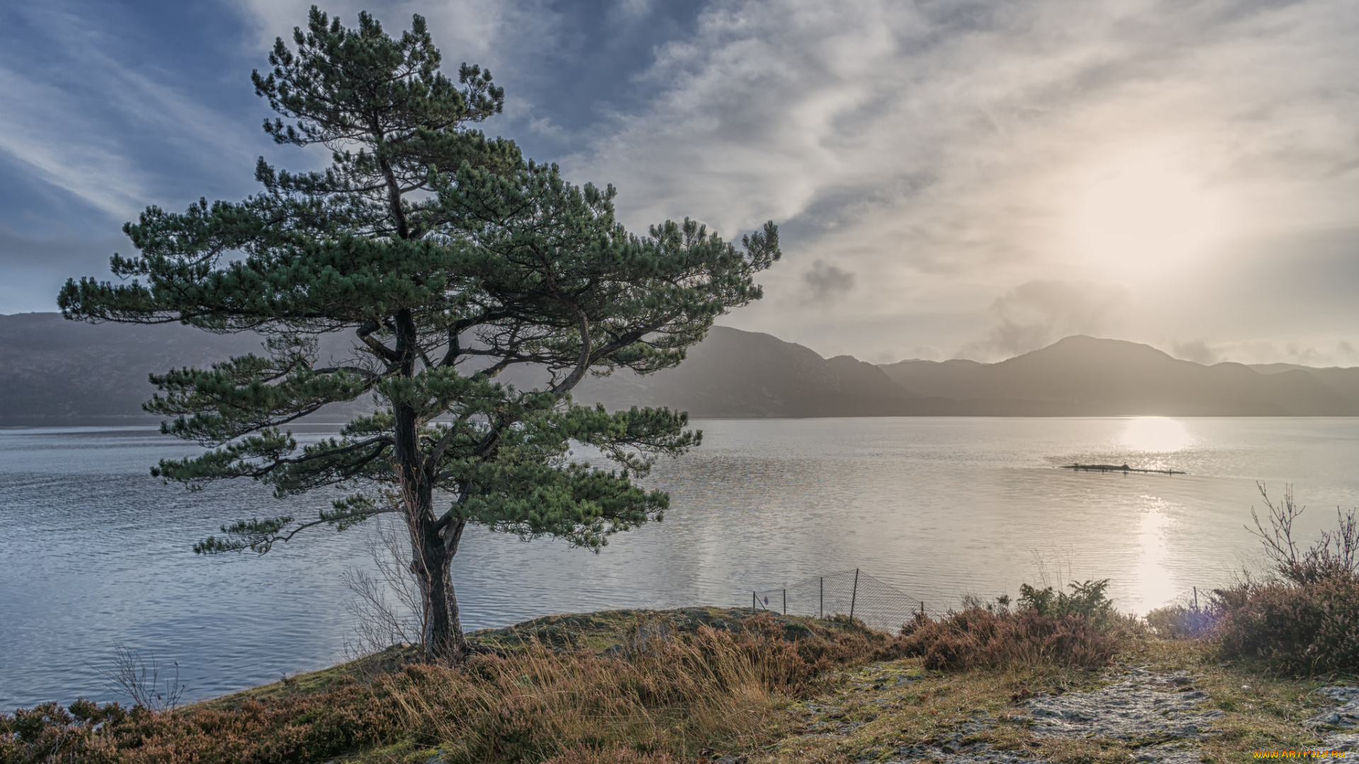 природа, реки, озера, река, лес