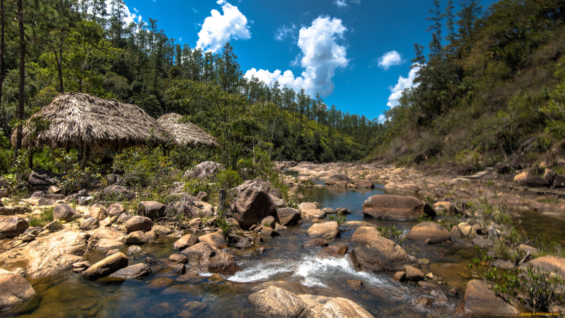 природа, реки, озера, река, лес