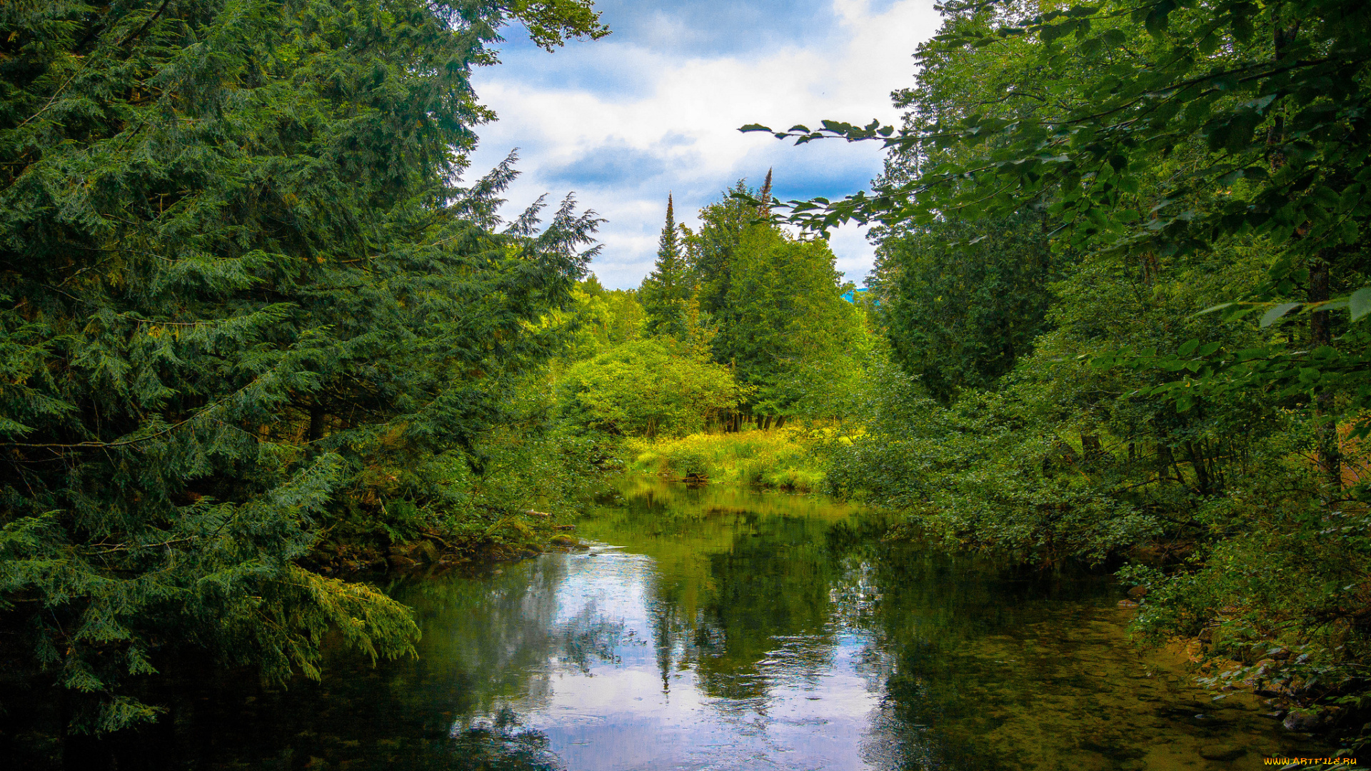 природа, реки, озера, река, лес
