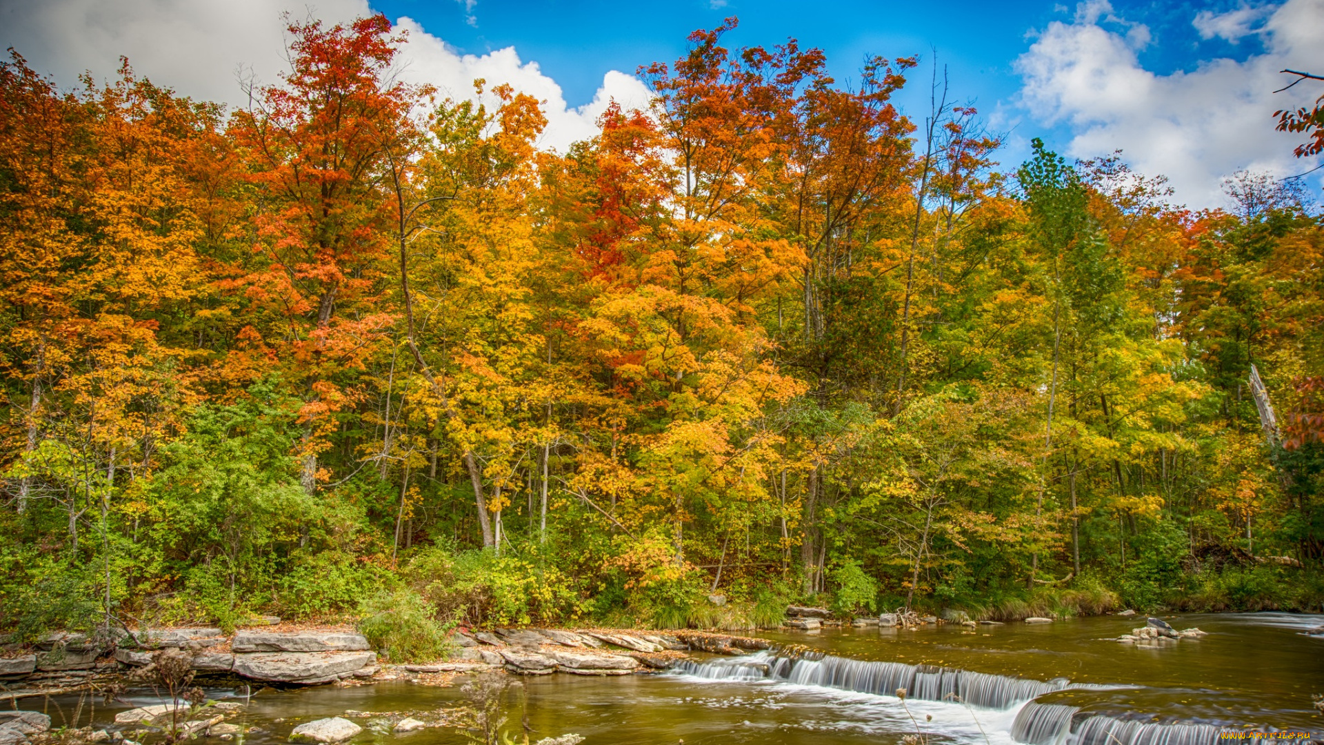 природа, реки, озера, река, лес