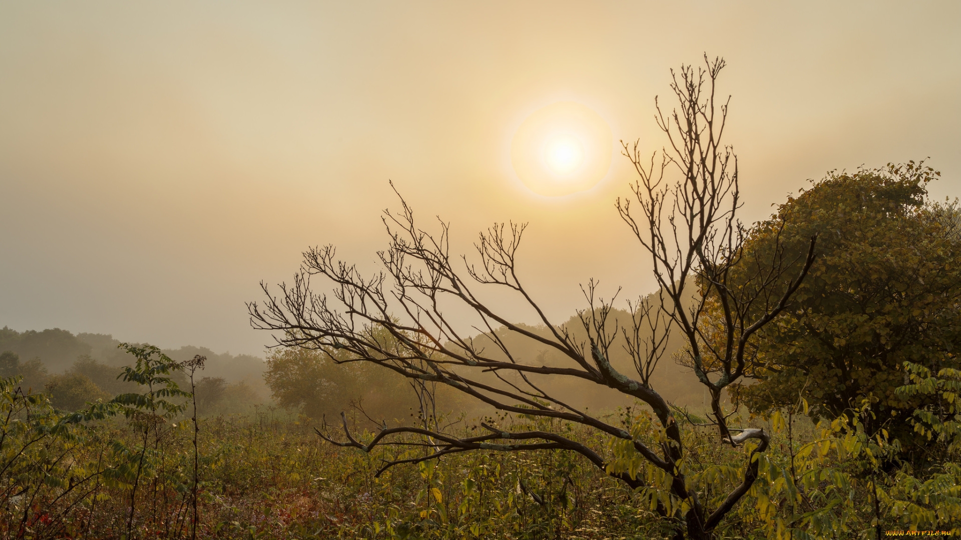 природа, восходы, закаты, рассвет