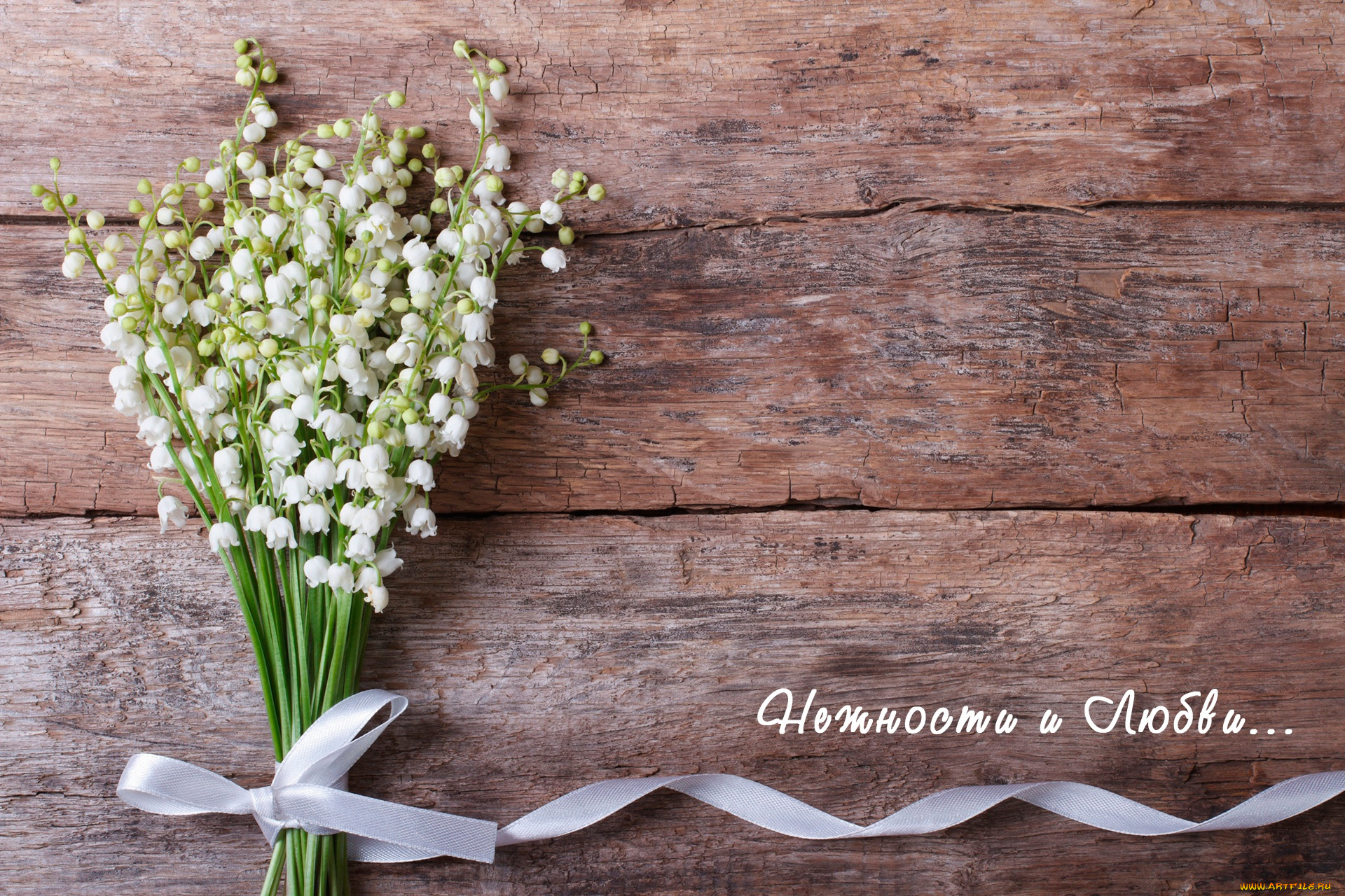 цветы, ландыши, букет, надпись, белые, лента