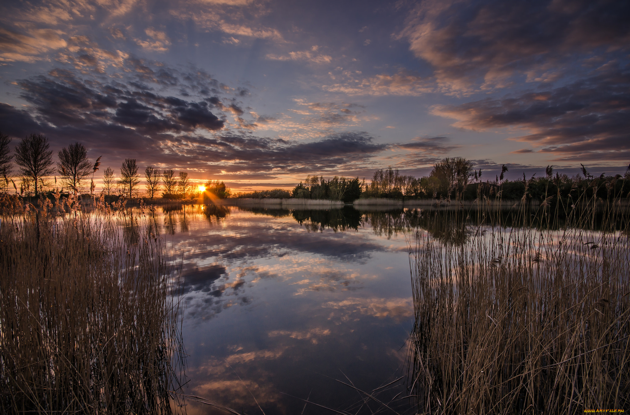 природа, реки, озера, лес, река