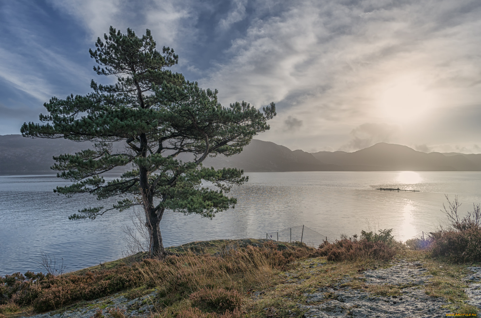 природа, реки, озера, река, лес