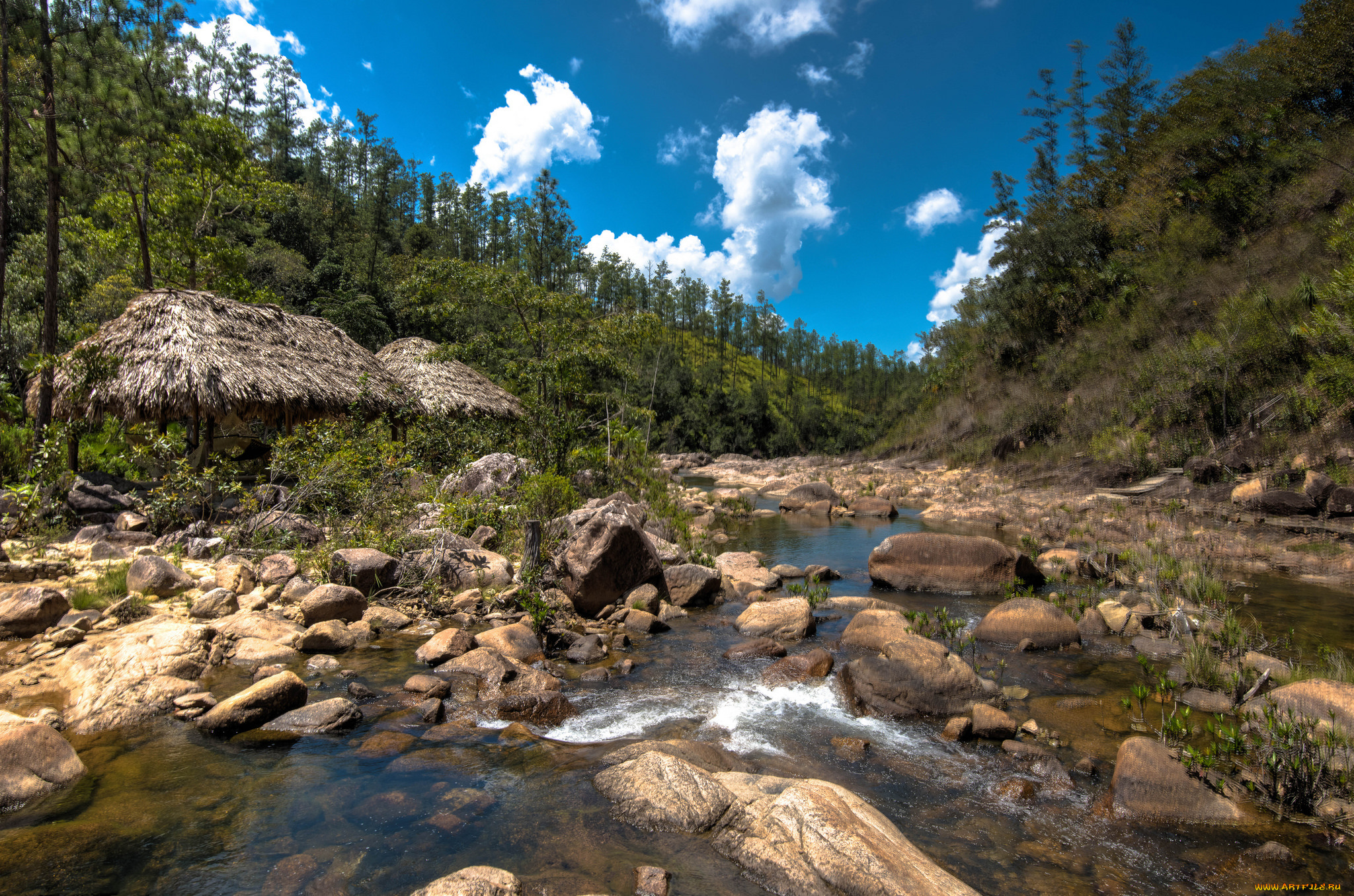 природа, реки, озера, река, лес