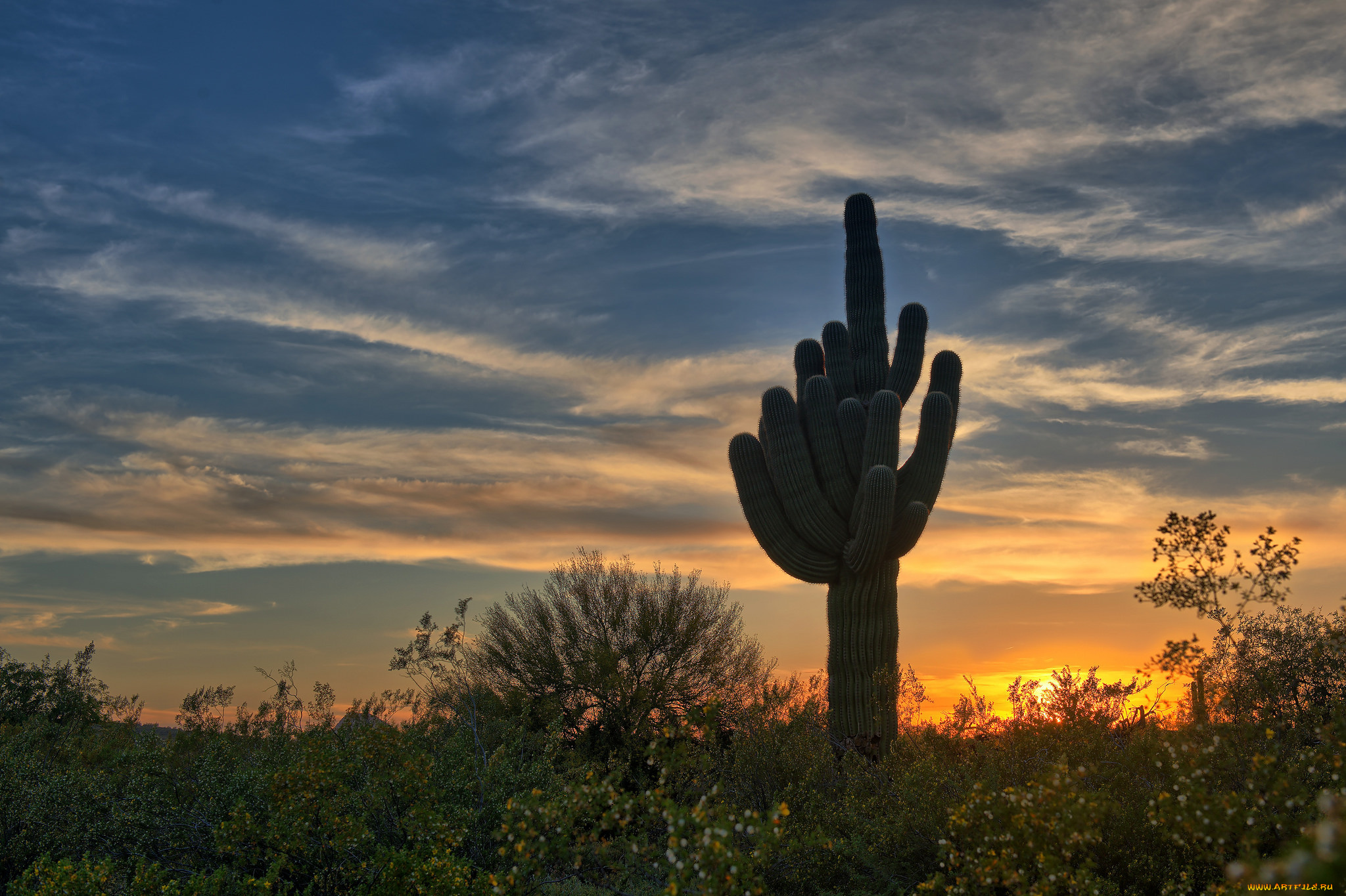 природа, пустыни, рассвет