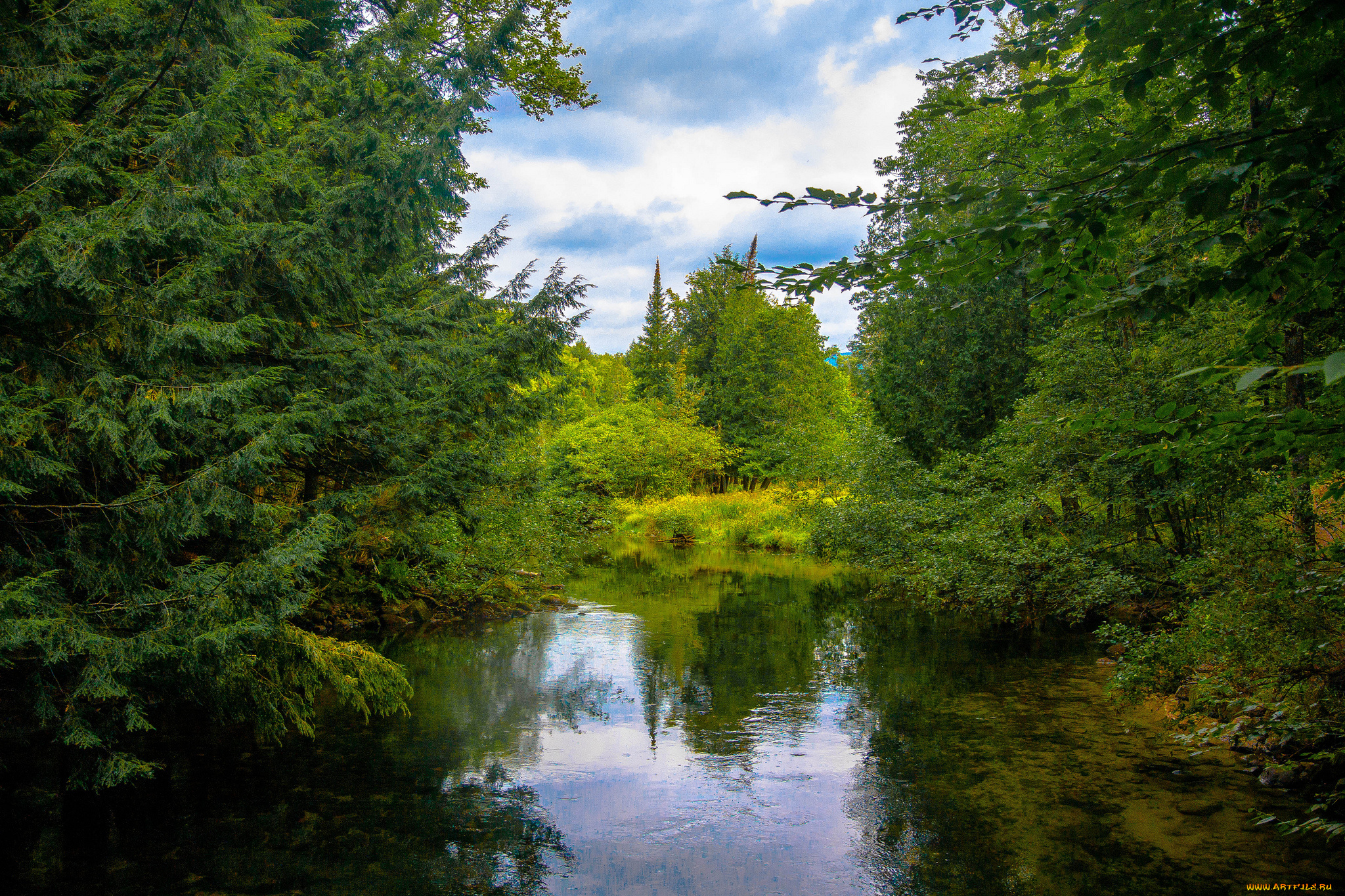 природа, реки, озера, река, лес