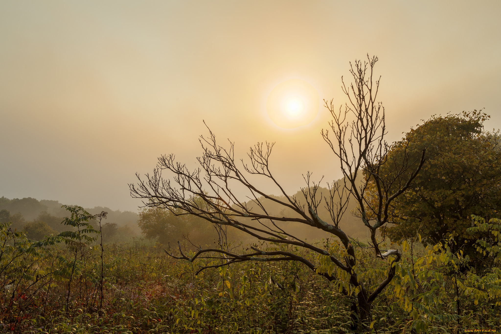 природа, восходы, закаты, рассвет