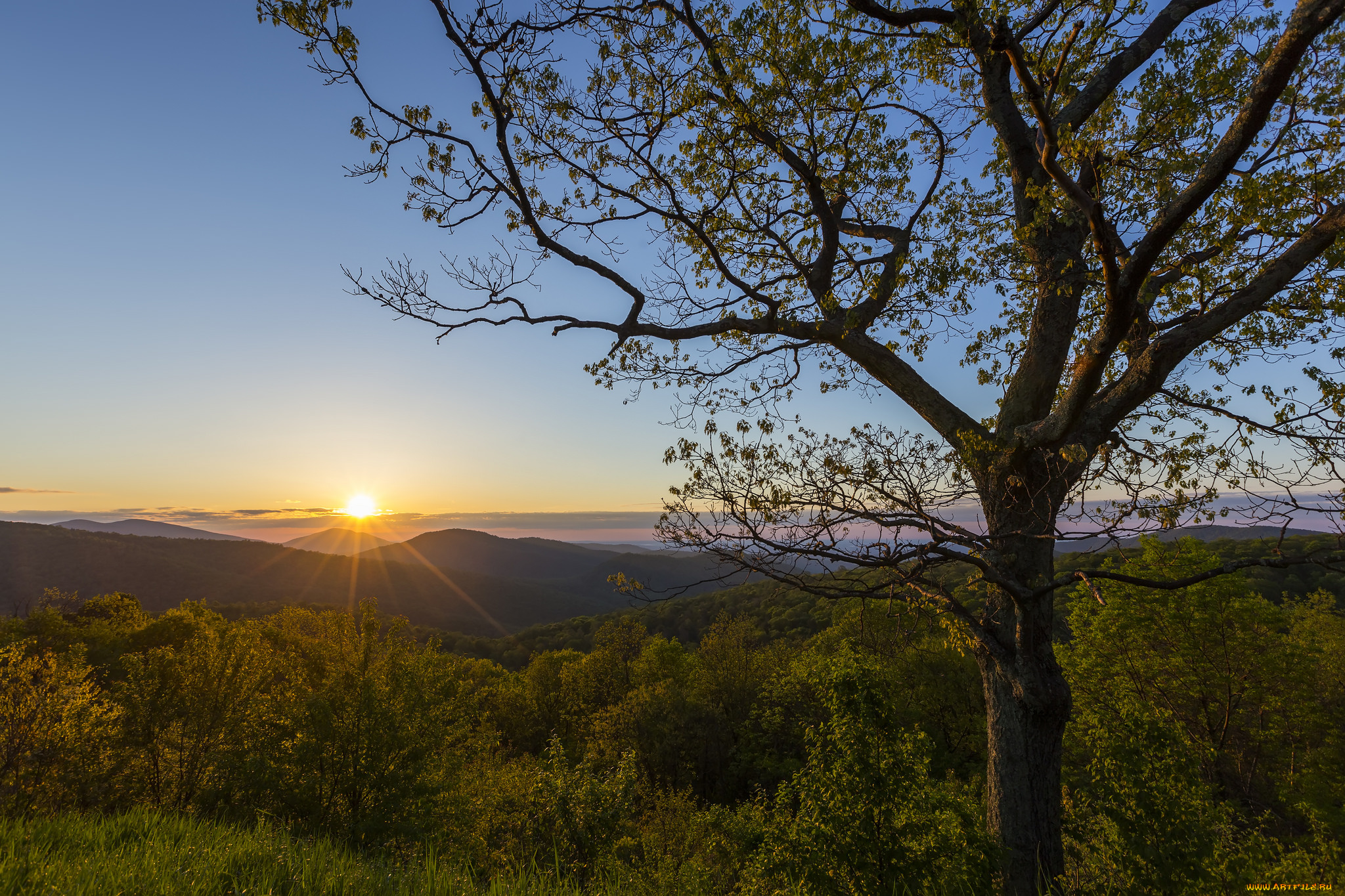 природа, восходы, закаты, рассвет