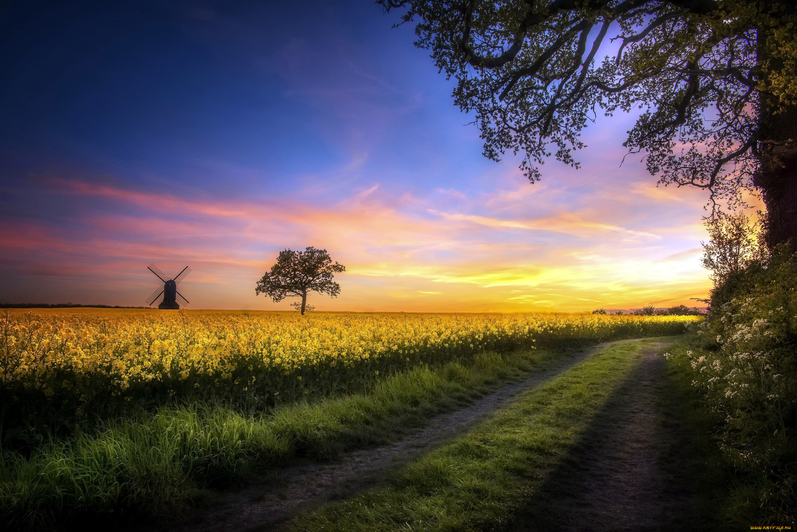 природа, дороги, поле, мельница