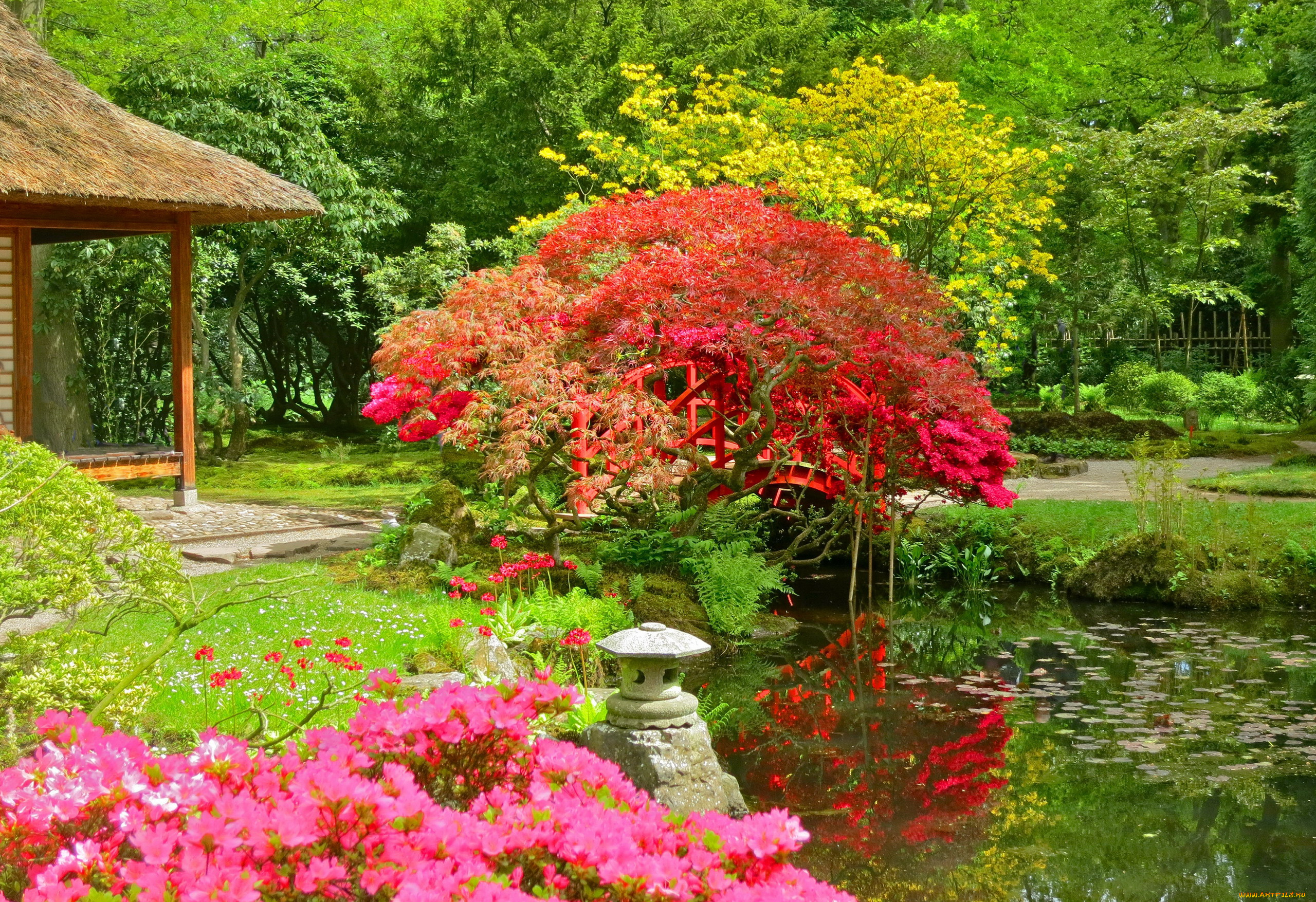 keukenhof, park, природа, парк, keukenhof, park