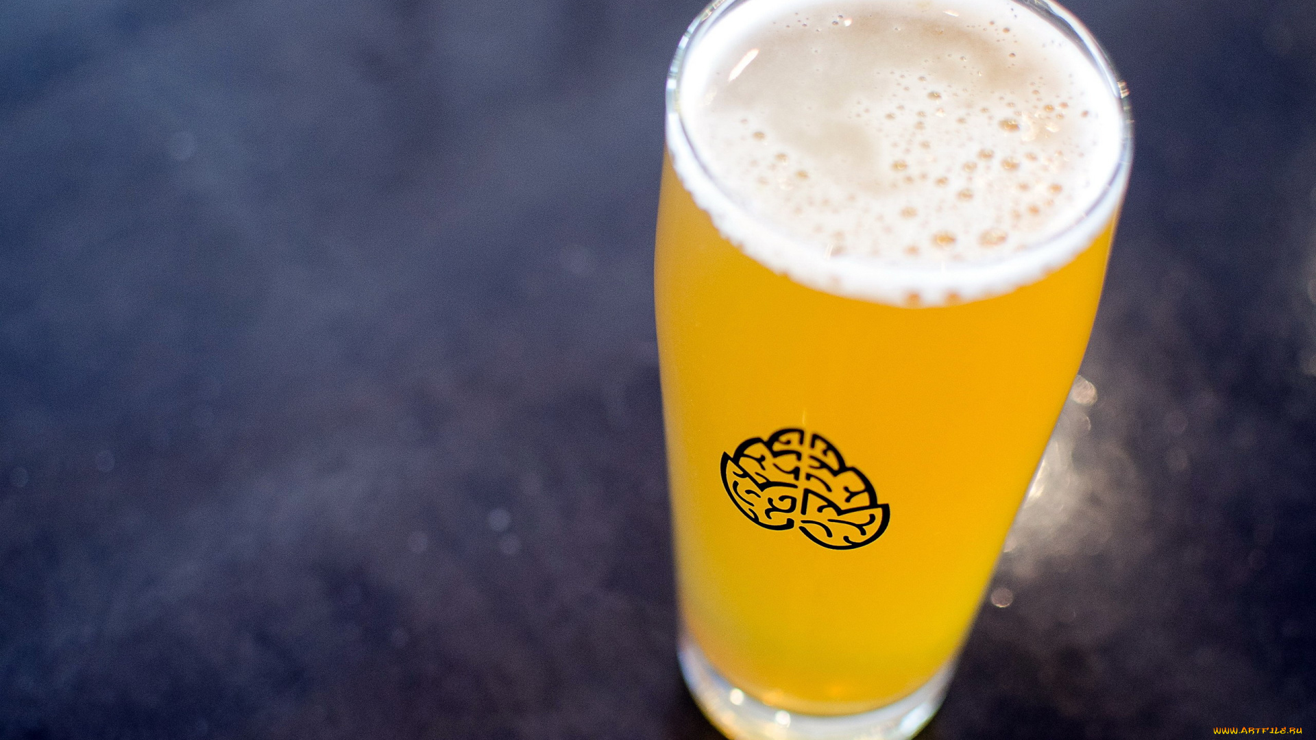 еда, напитки, , пиво, бокал, пиво, пена