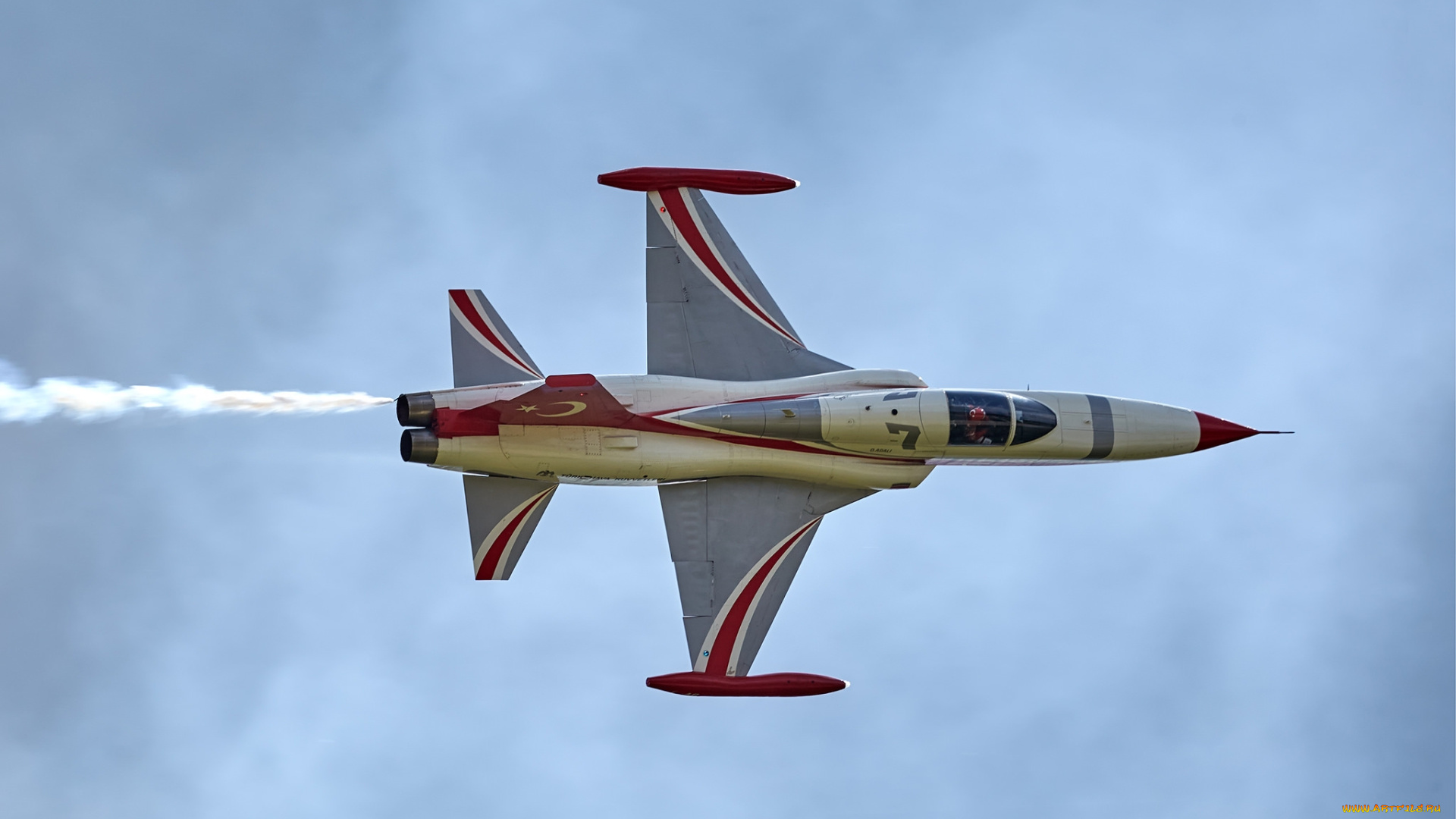 nf-5, turkish, stars, авиация, боевые, самолёты, ввс