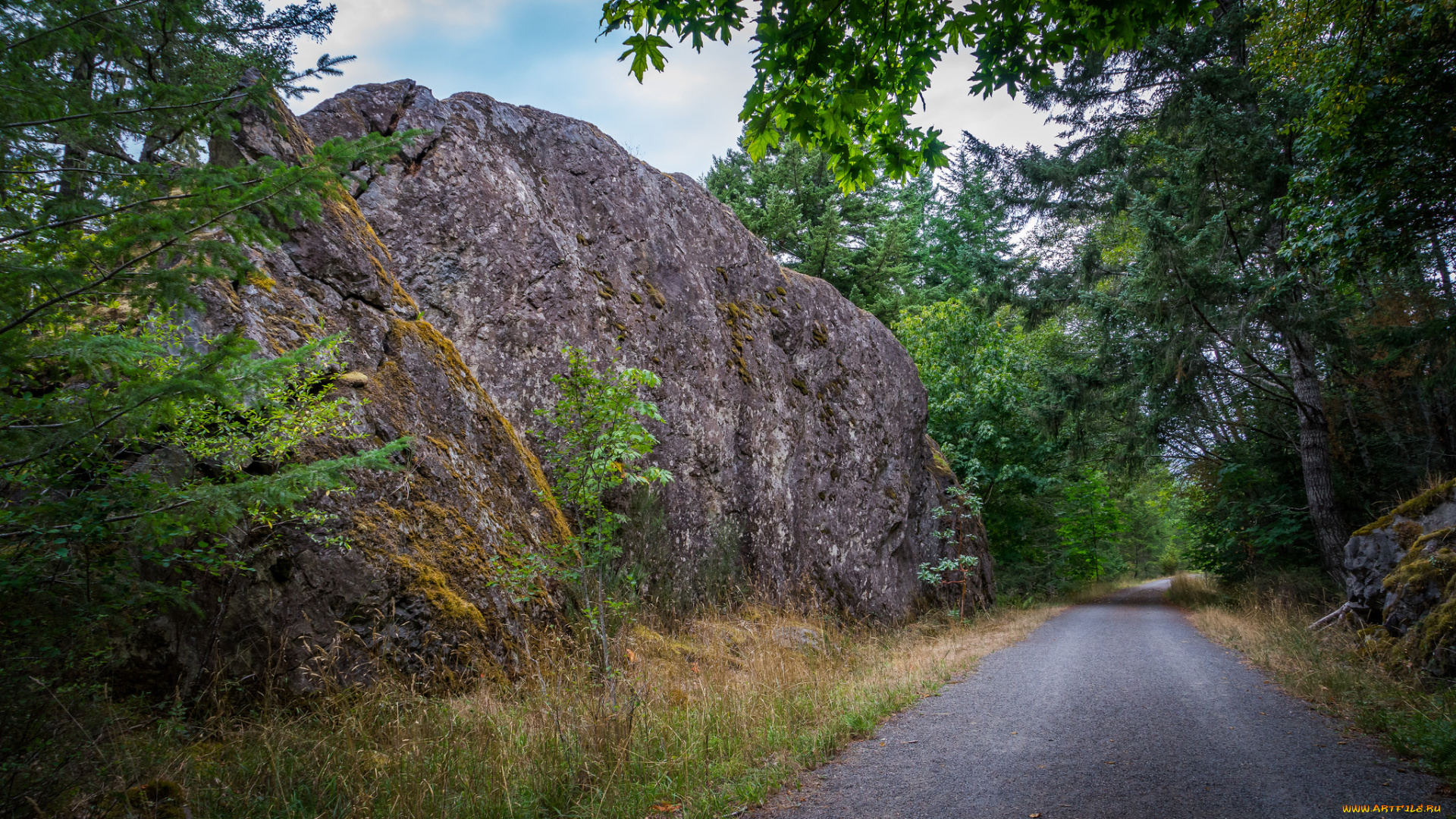 природа, дороги, простор