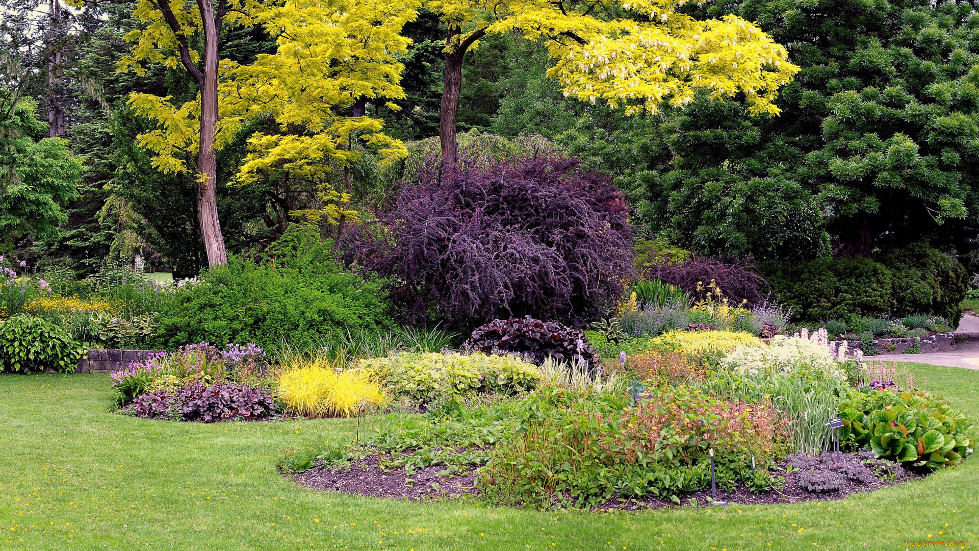 природа, парк, клумбы