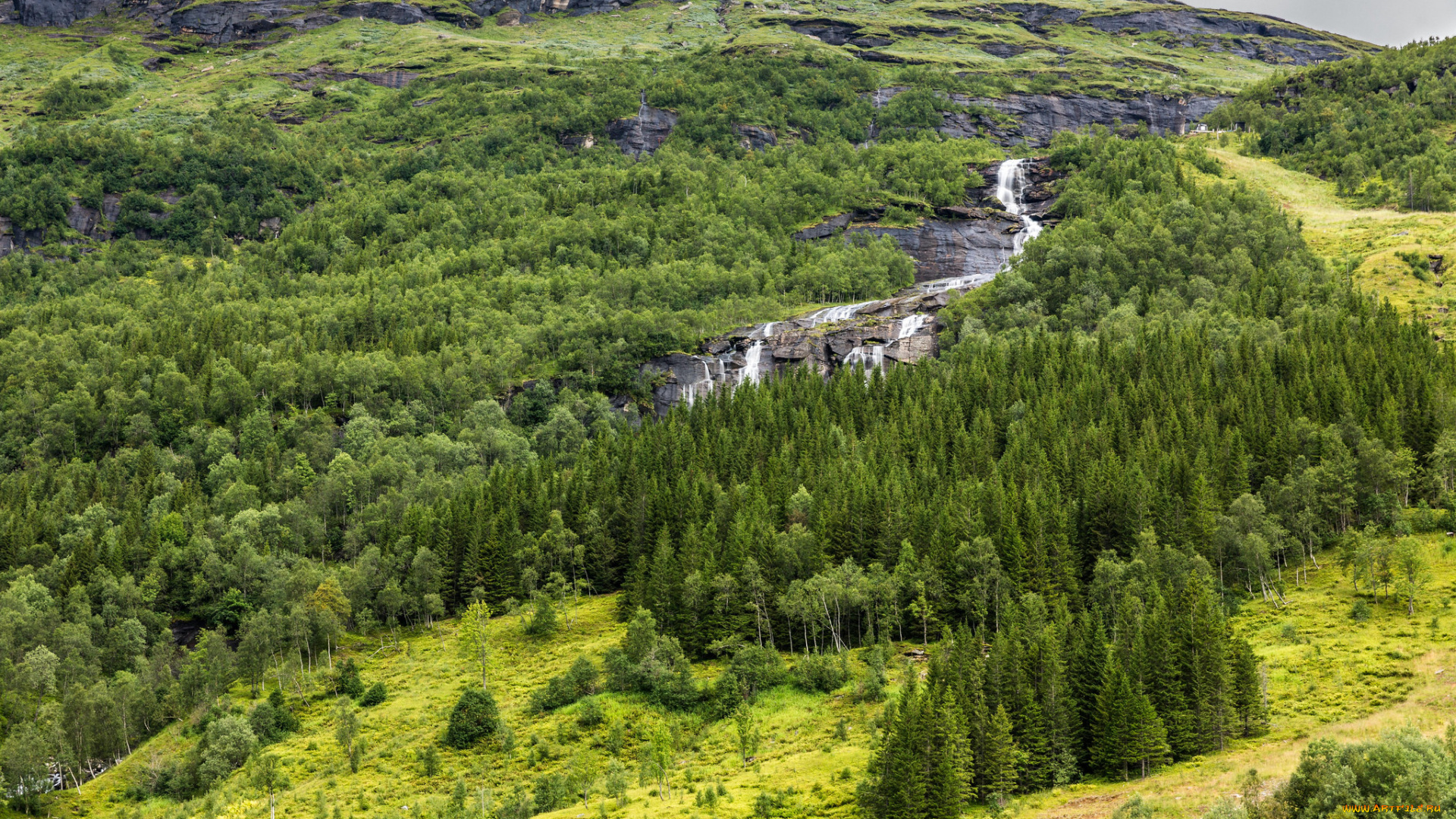 природа, пейзажи, простор