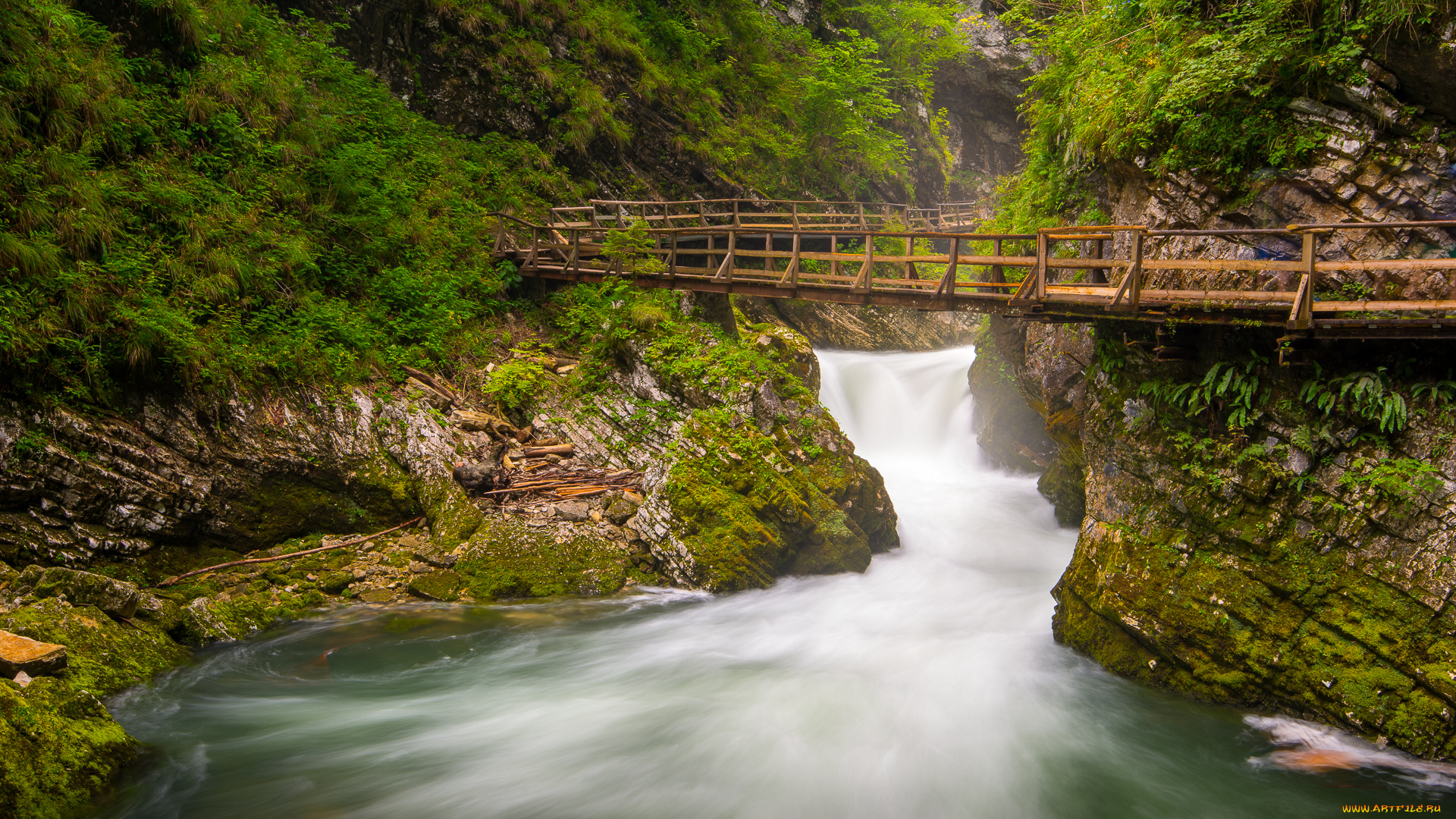 природа, реки, озера, простор