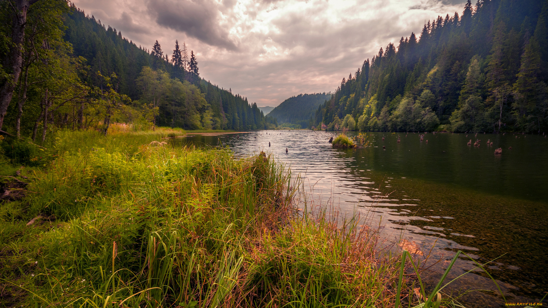 природа, реки, озера, простор