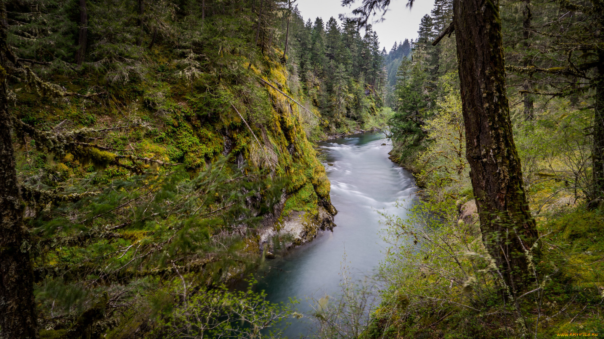 природа, реки, озера, простор