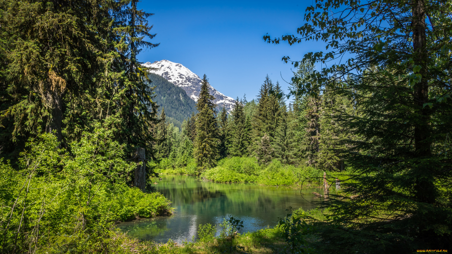 природа, реки, озера, простор