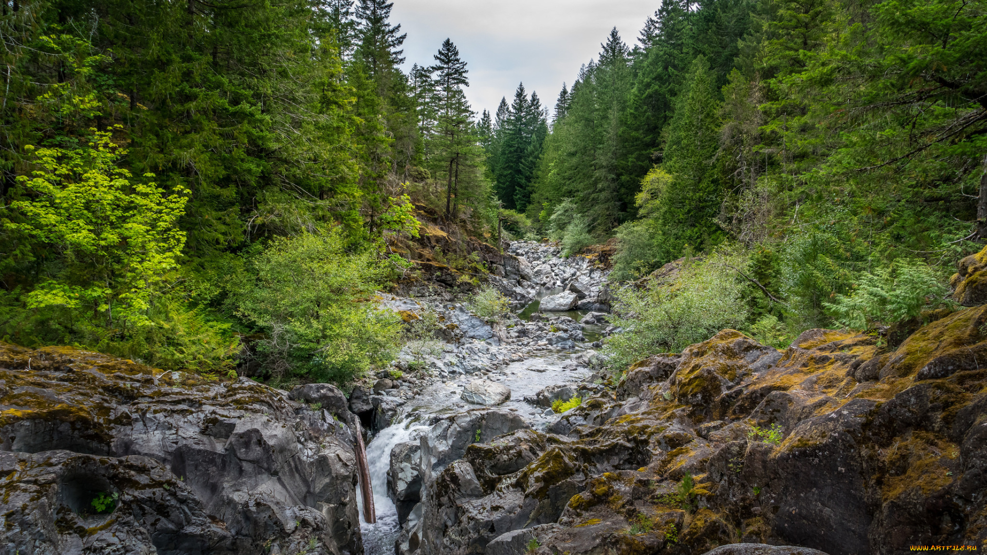 природа, реки, озера, простор