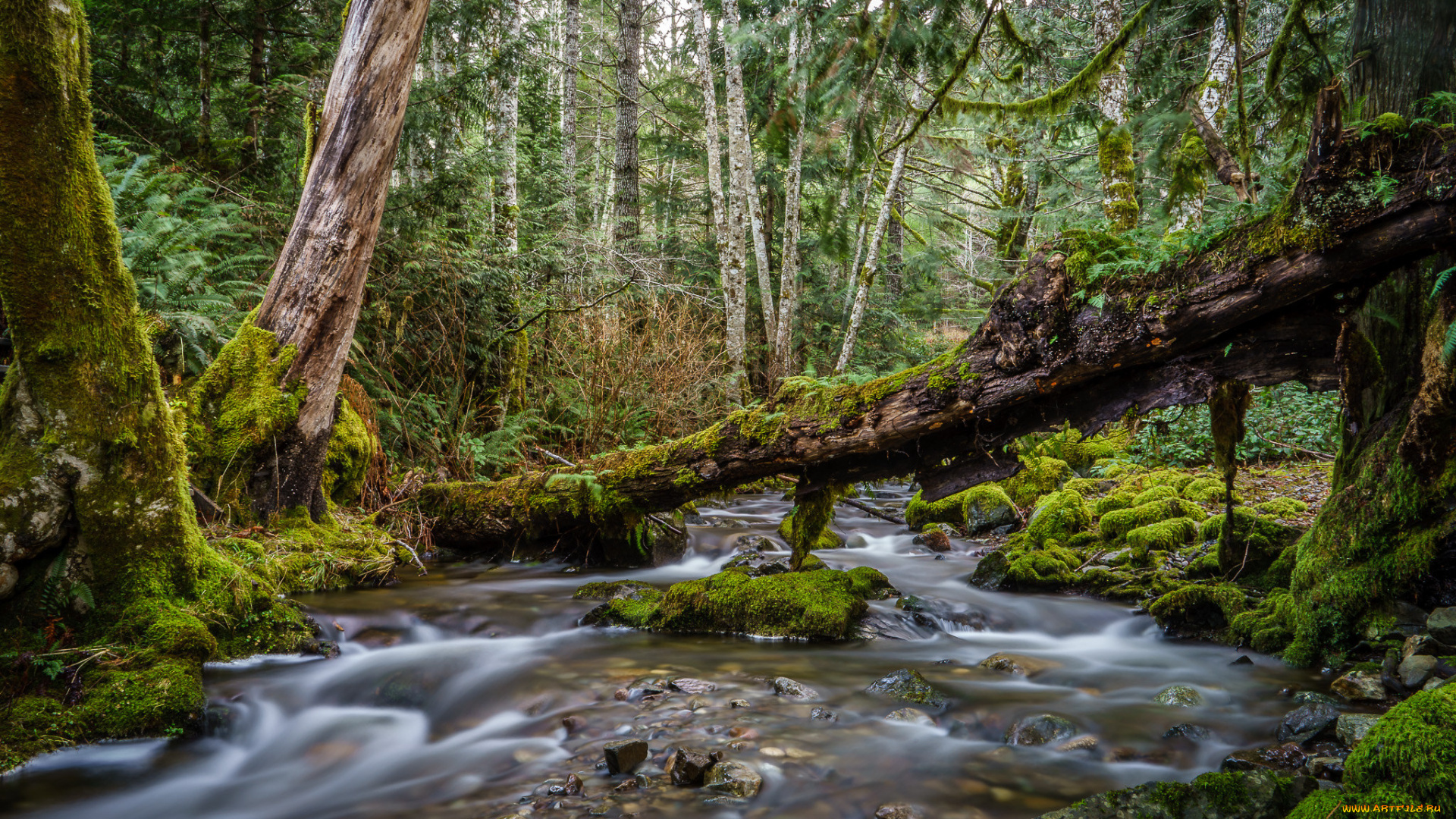 природа, реки, озера, простор