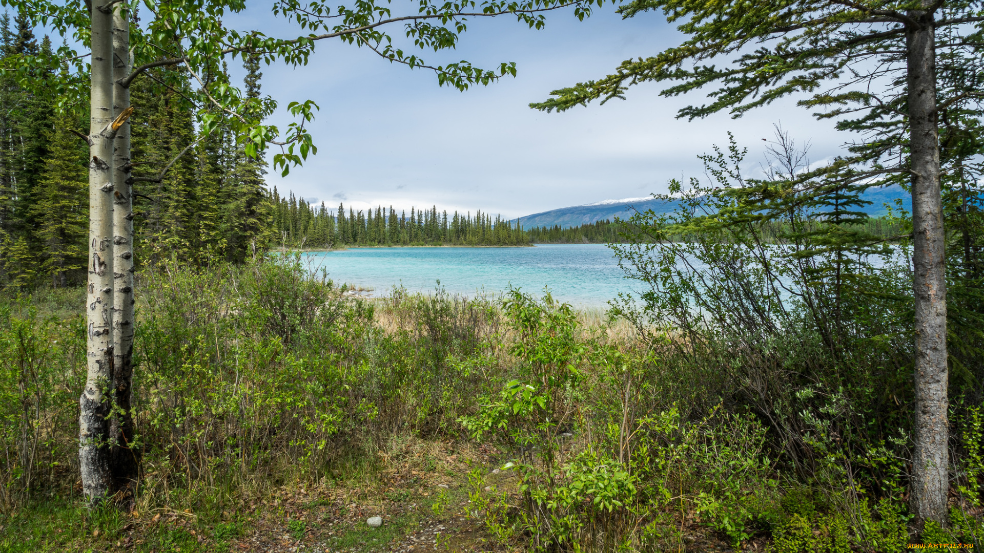 природа, реки, озера, простор