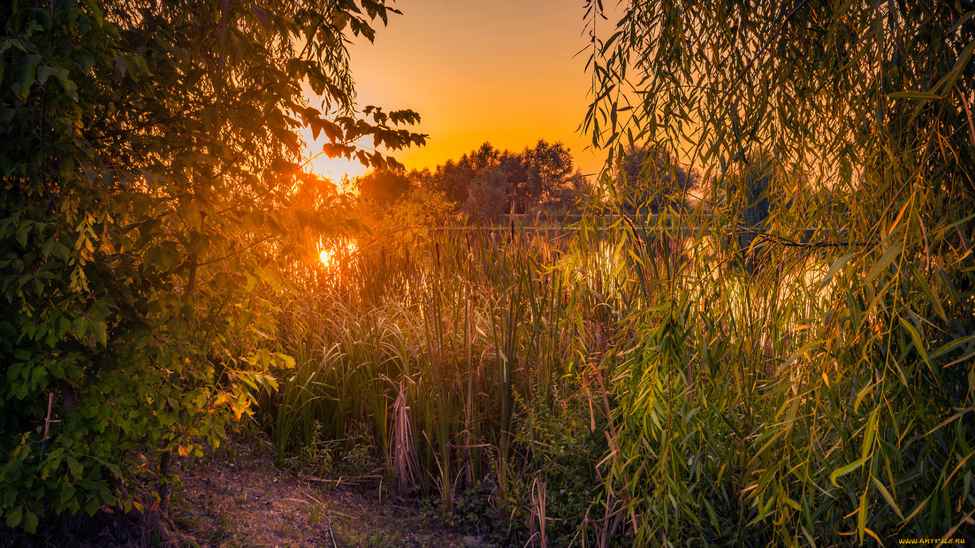 природа, восходы, закаты, простор