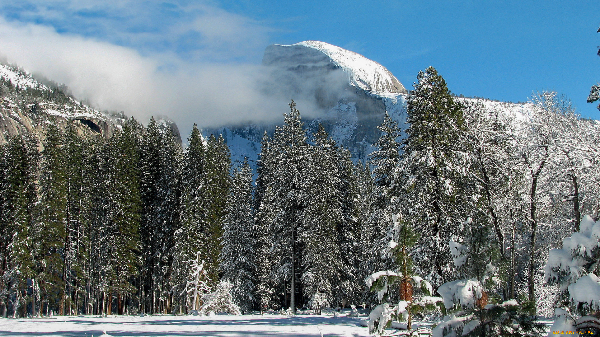 природа, зима, простор