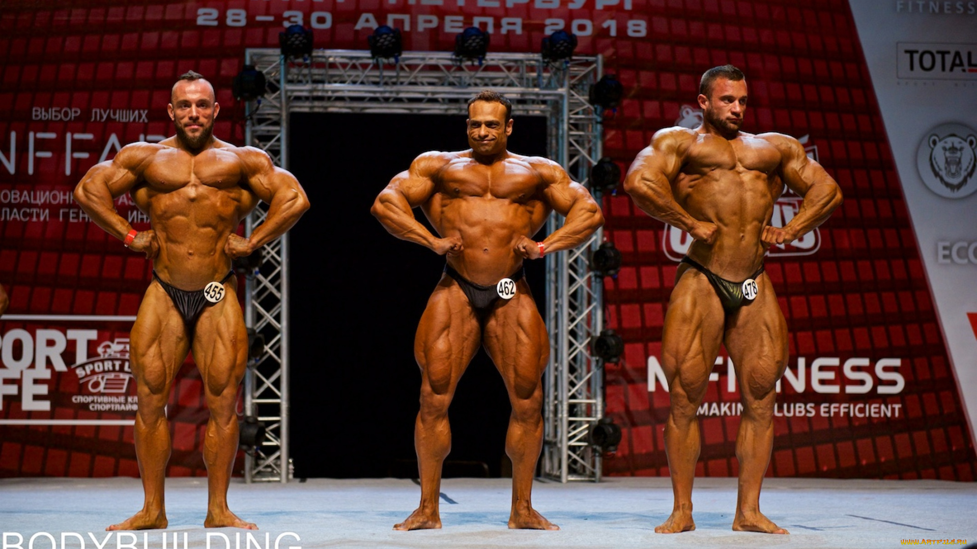 спорт, body, building, бодибилдинг