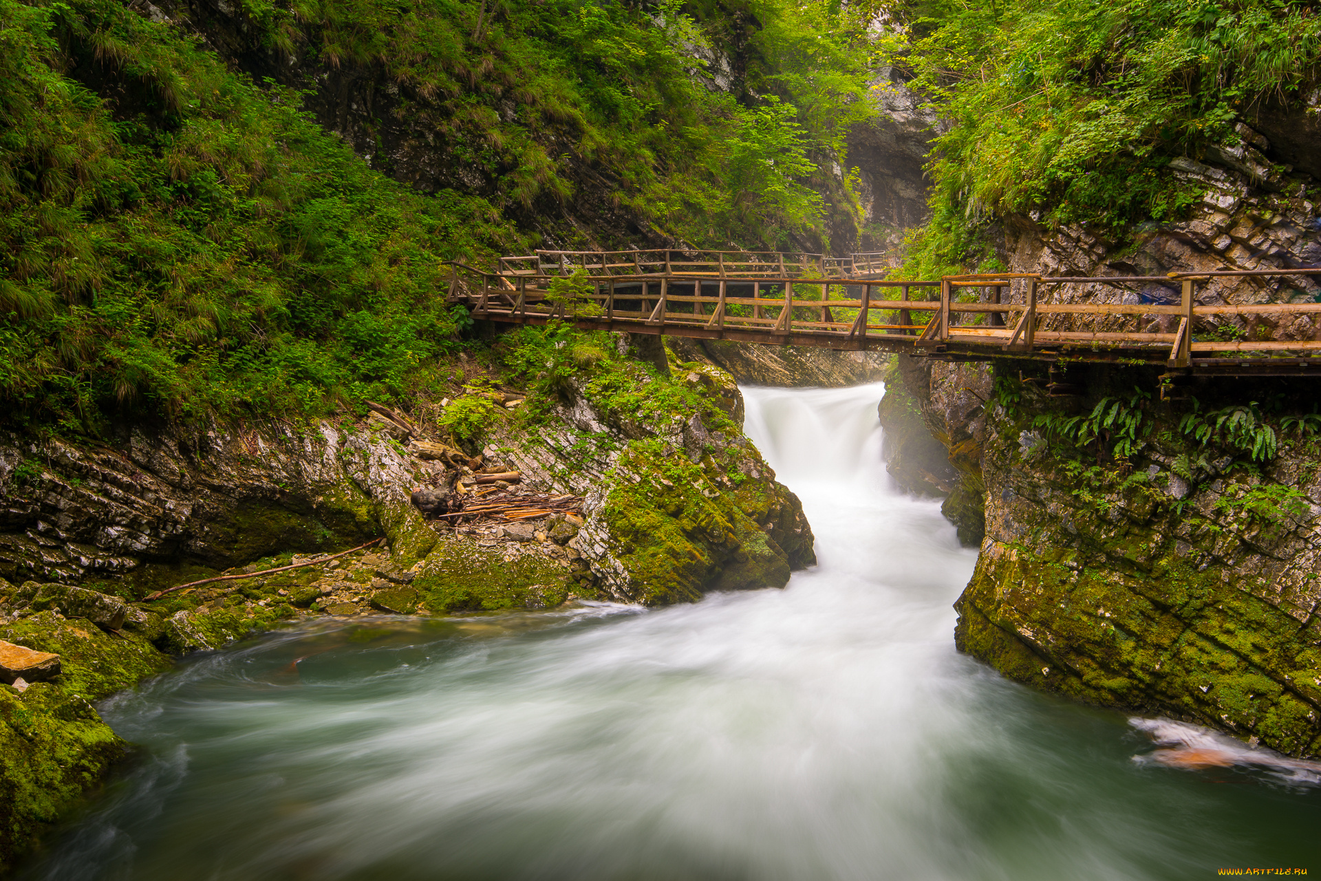 природа, реки, озера, простор