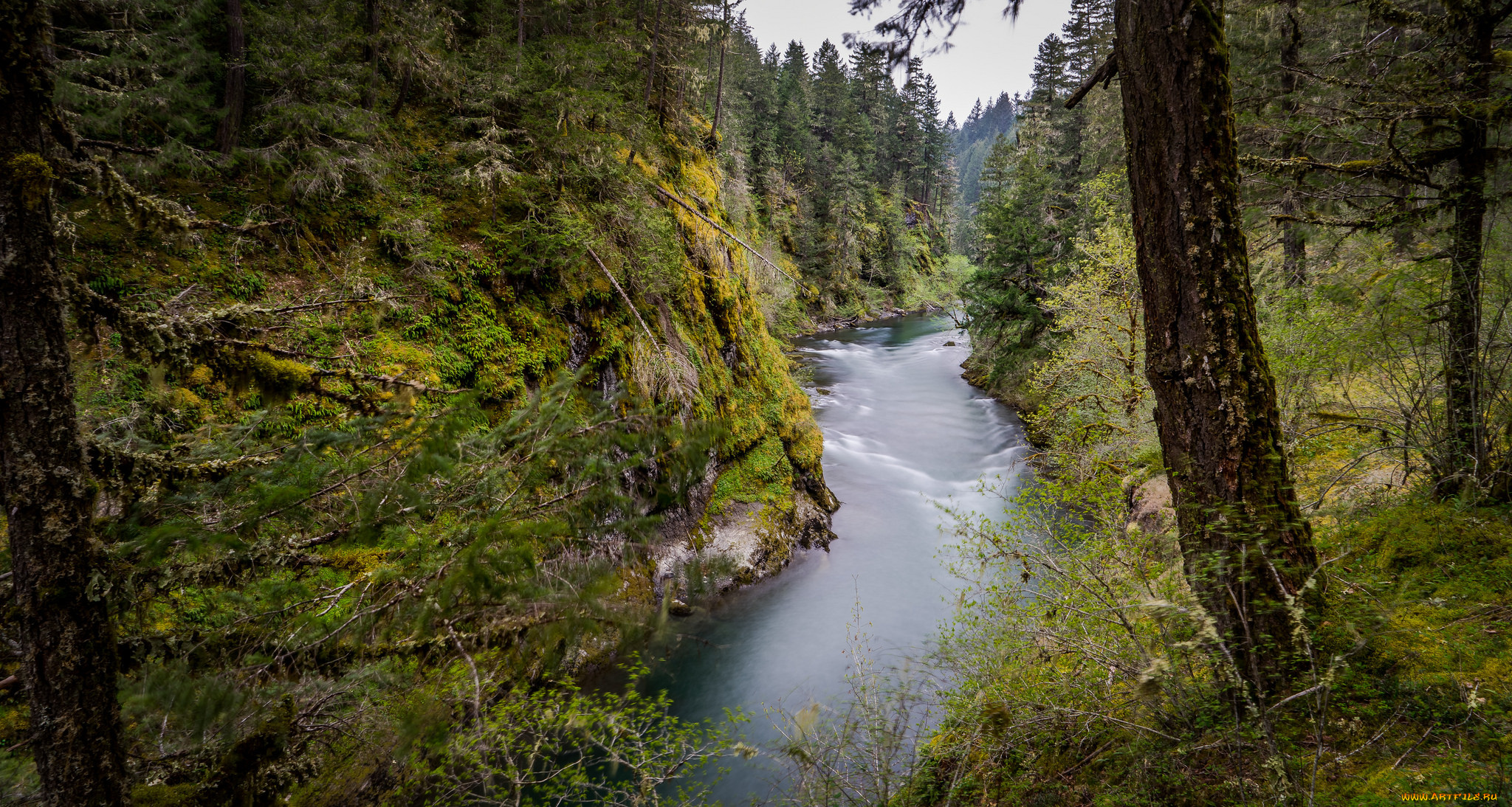 природа, реки, озера, простор