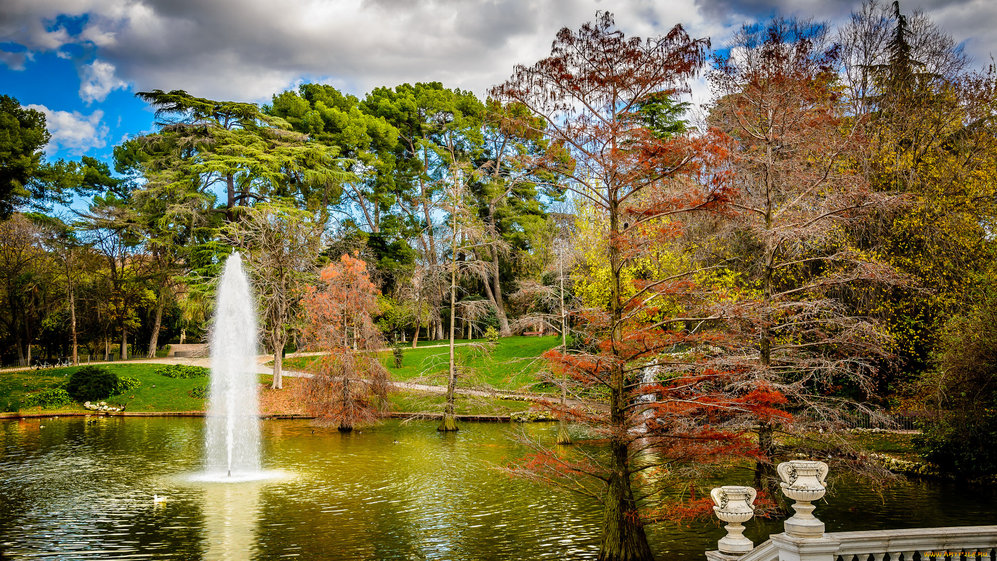 природа, парк, простор