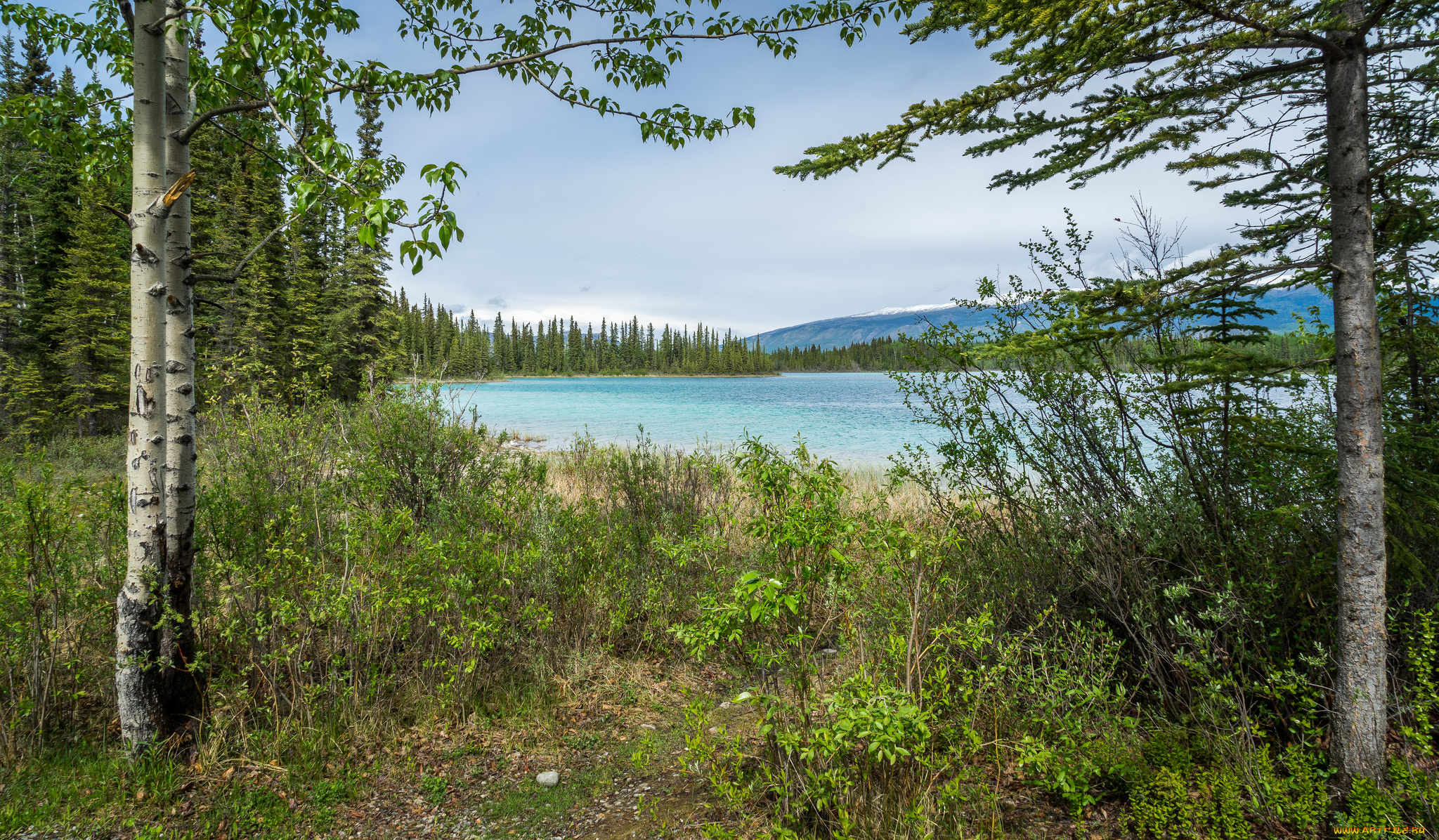 природа, реки, озера, простор