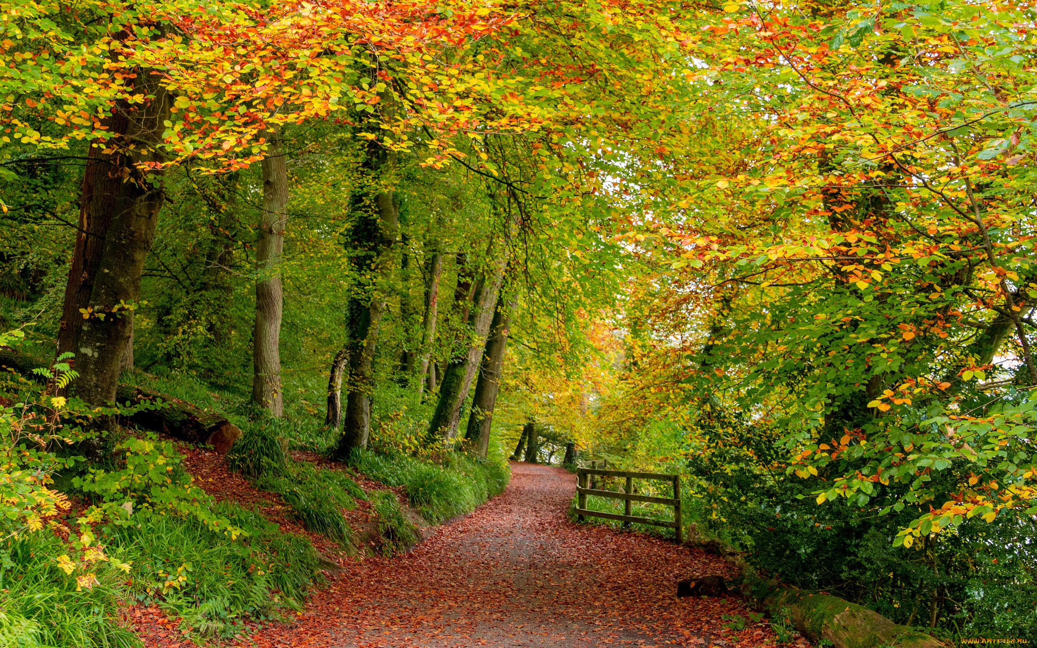 природа, дороги, простор