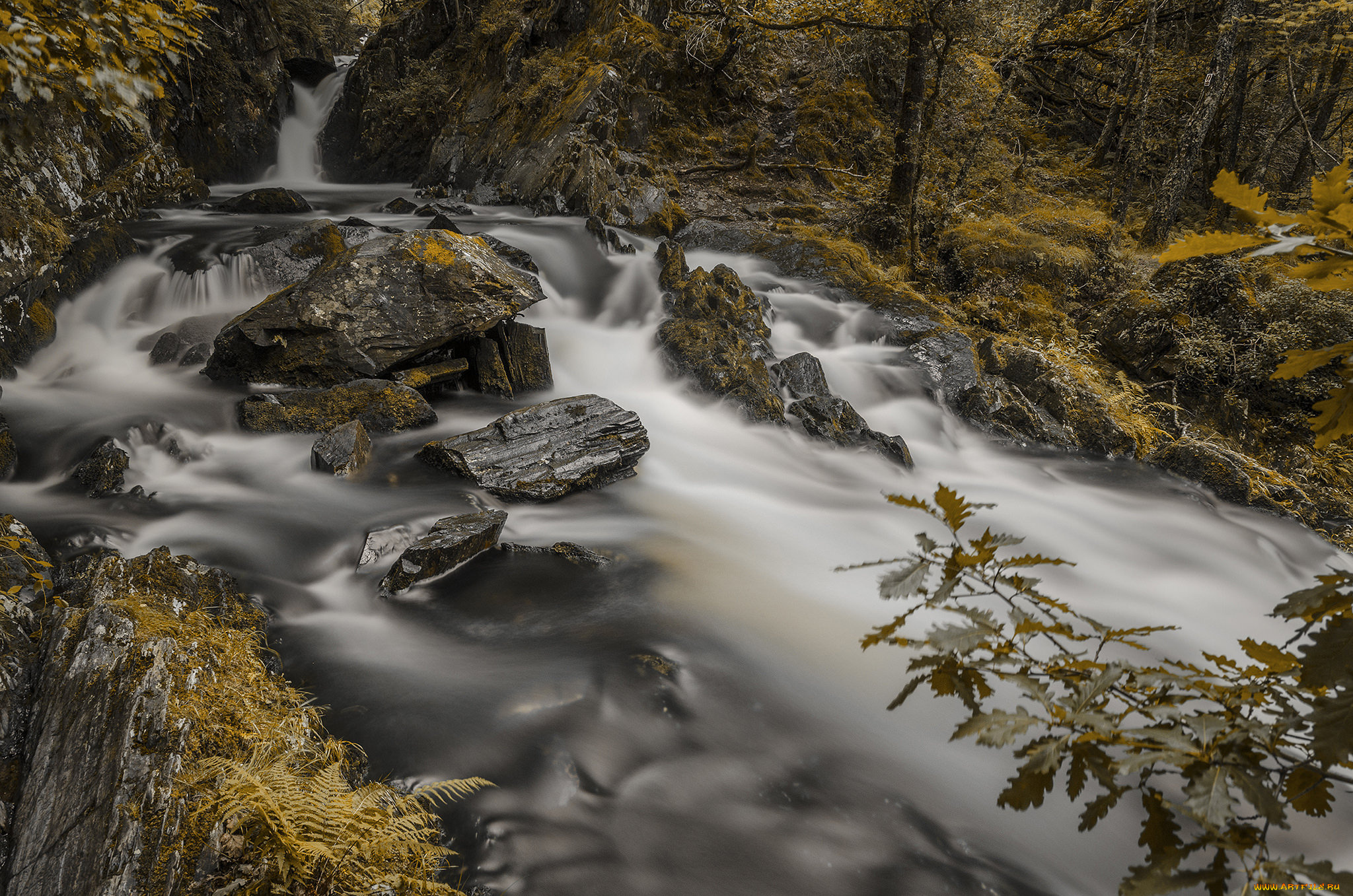 природа, реки, озера, простор