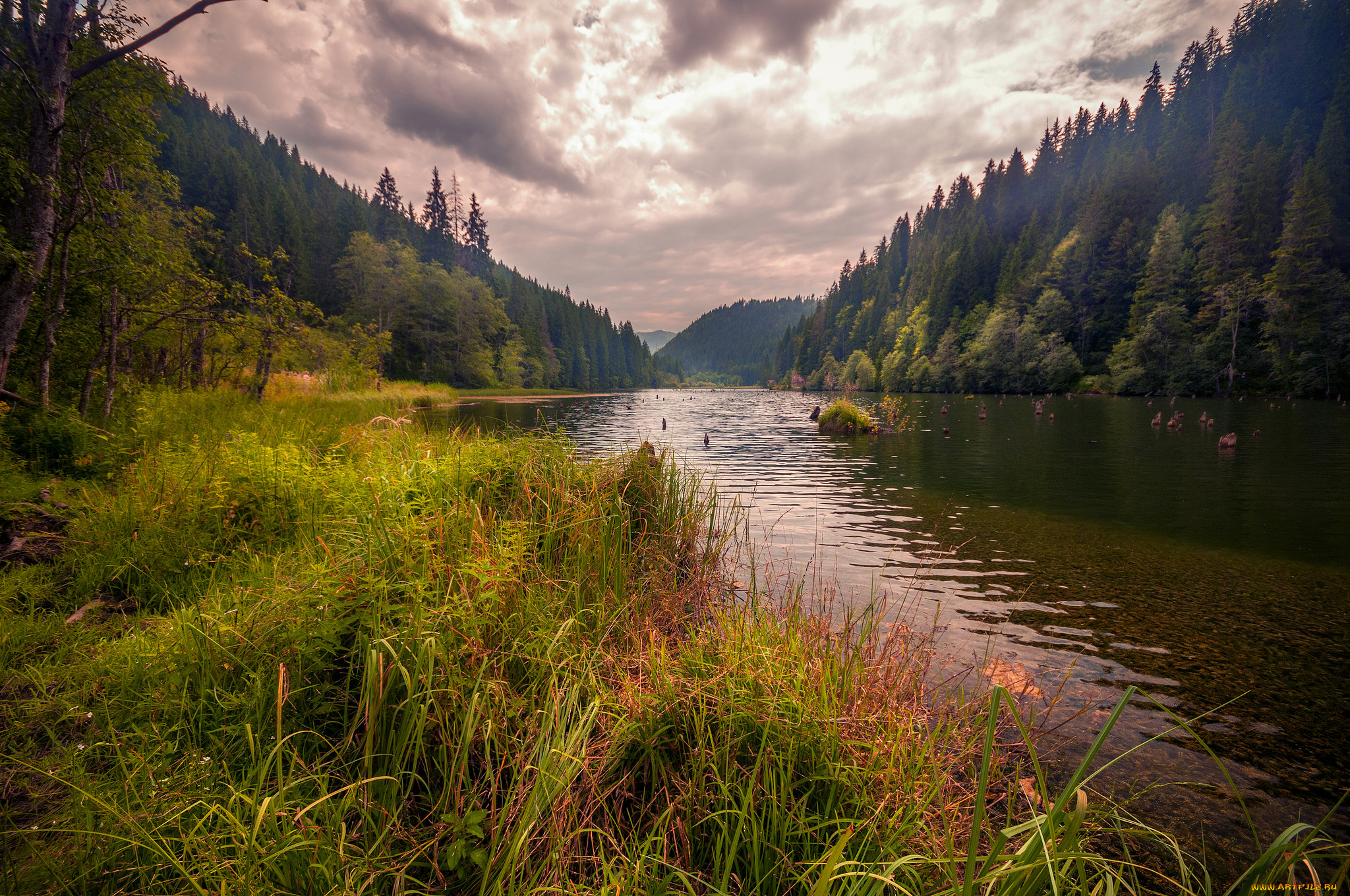 природа, реки, озера, простор