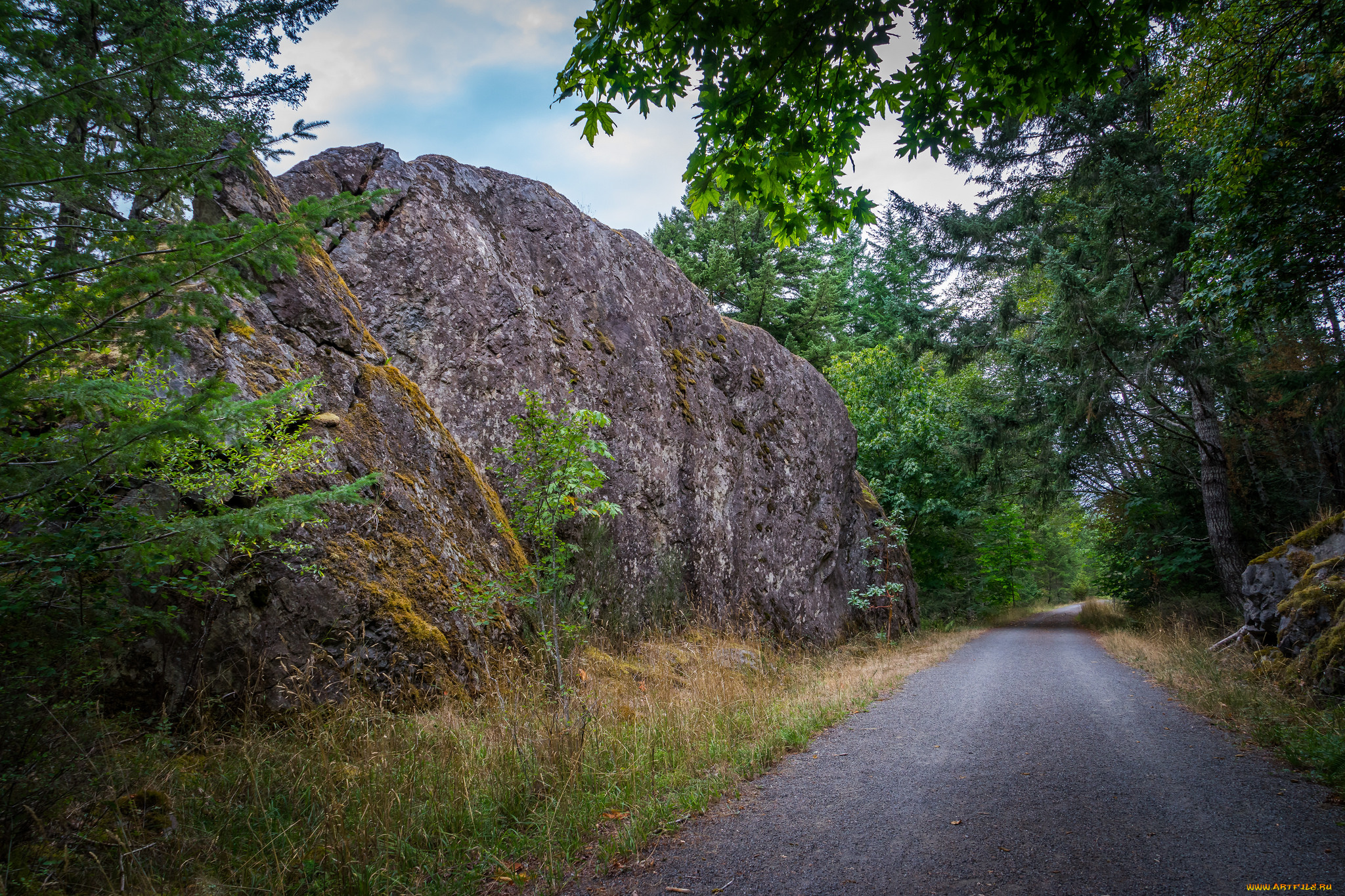 природа, дороги, простор