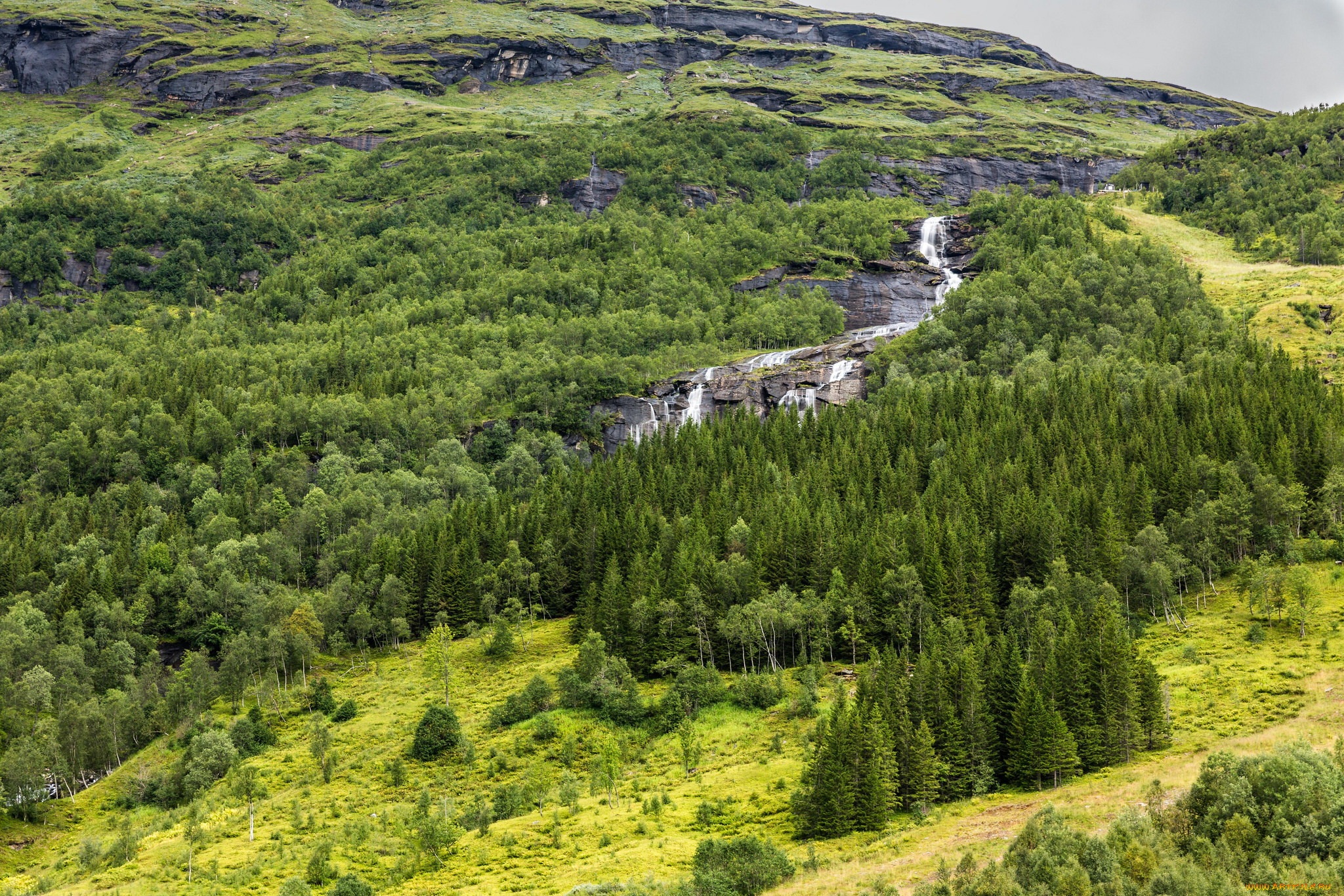 природа, пейзажи, простор