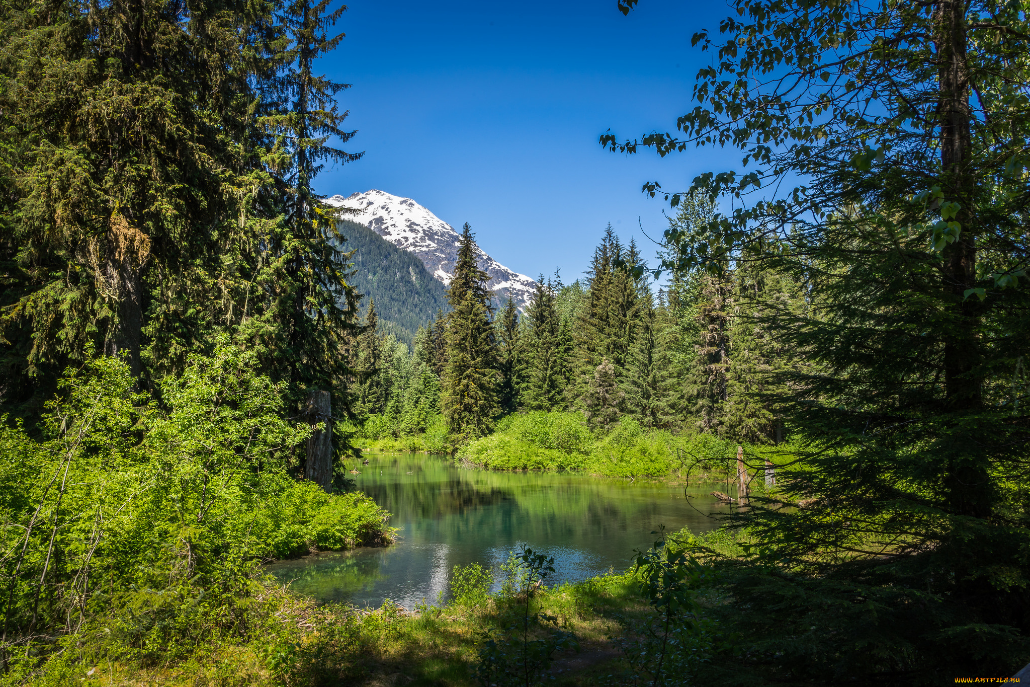 природа, реки, озера, простор