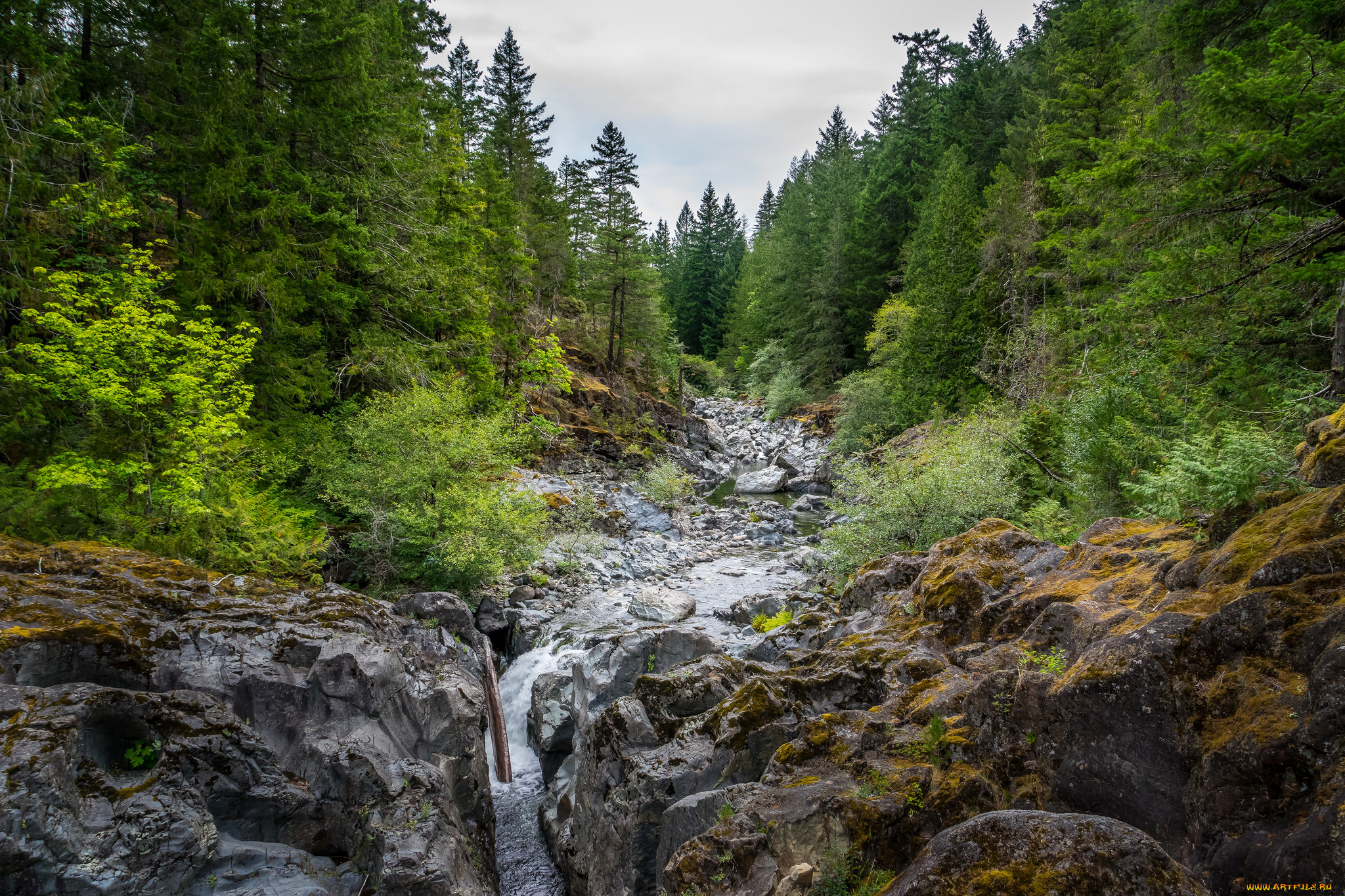 природа, реки, озера, простор