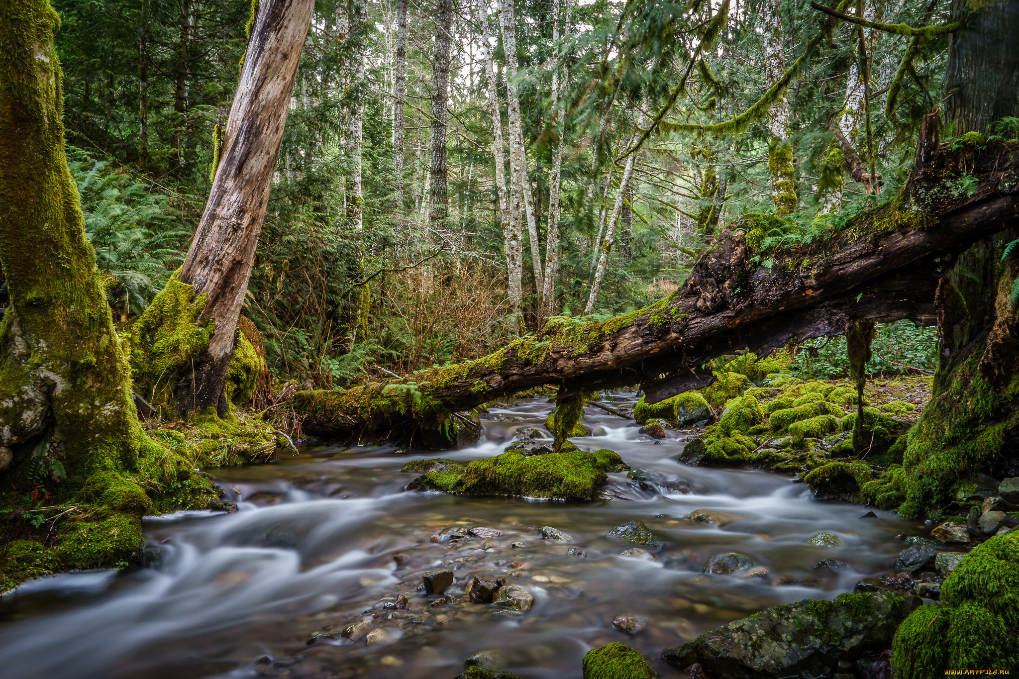 природа, реки, озера, простор